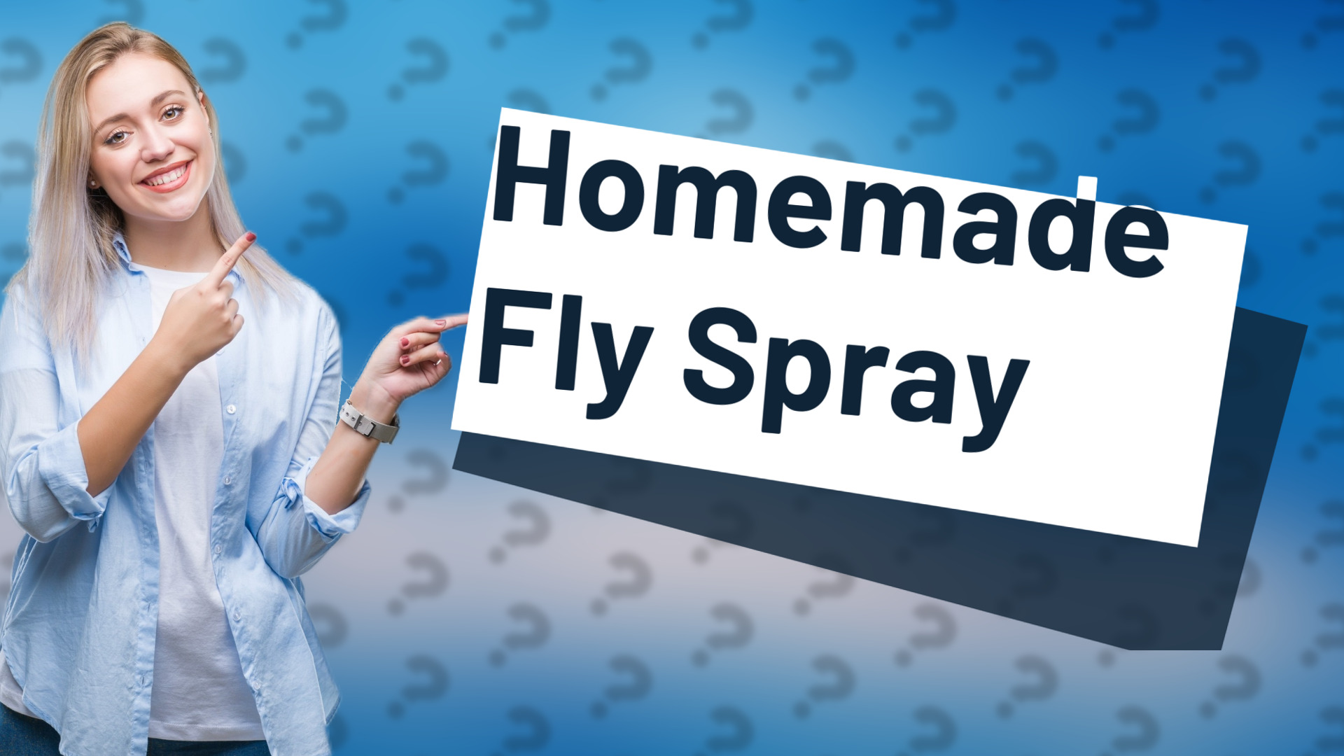 Homemade Fly Spray