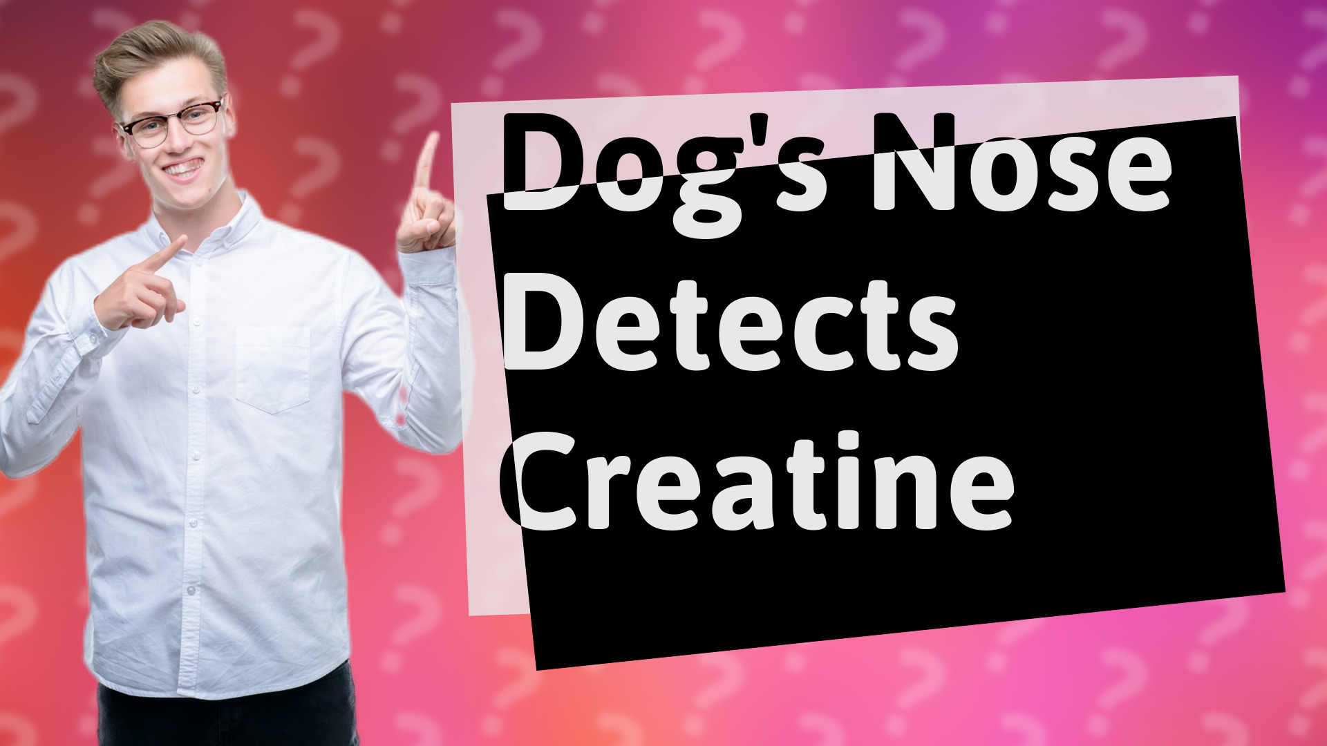 Dog's Nose Detects Creatine