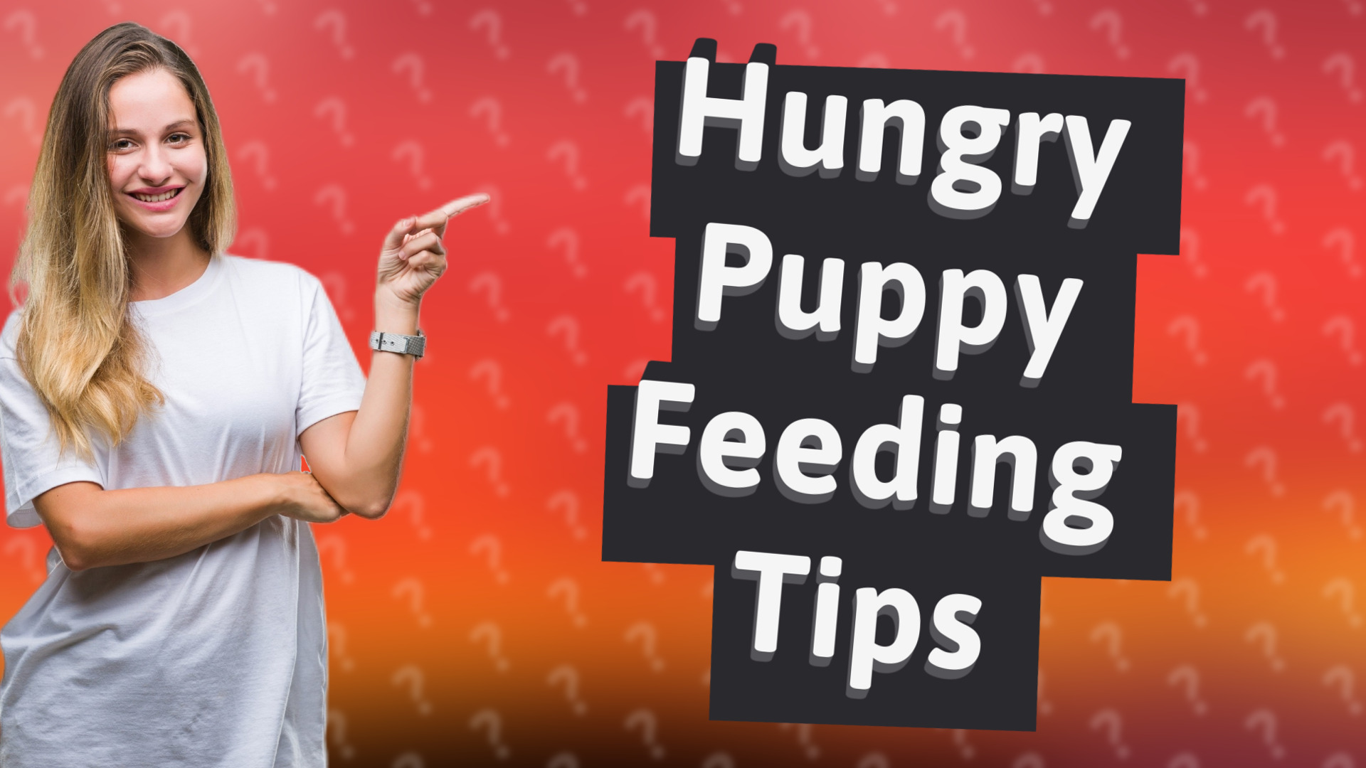 Hungry Puppy Feeding Tips