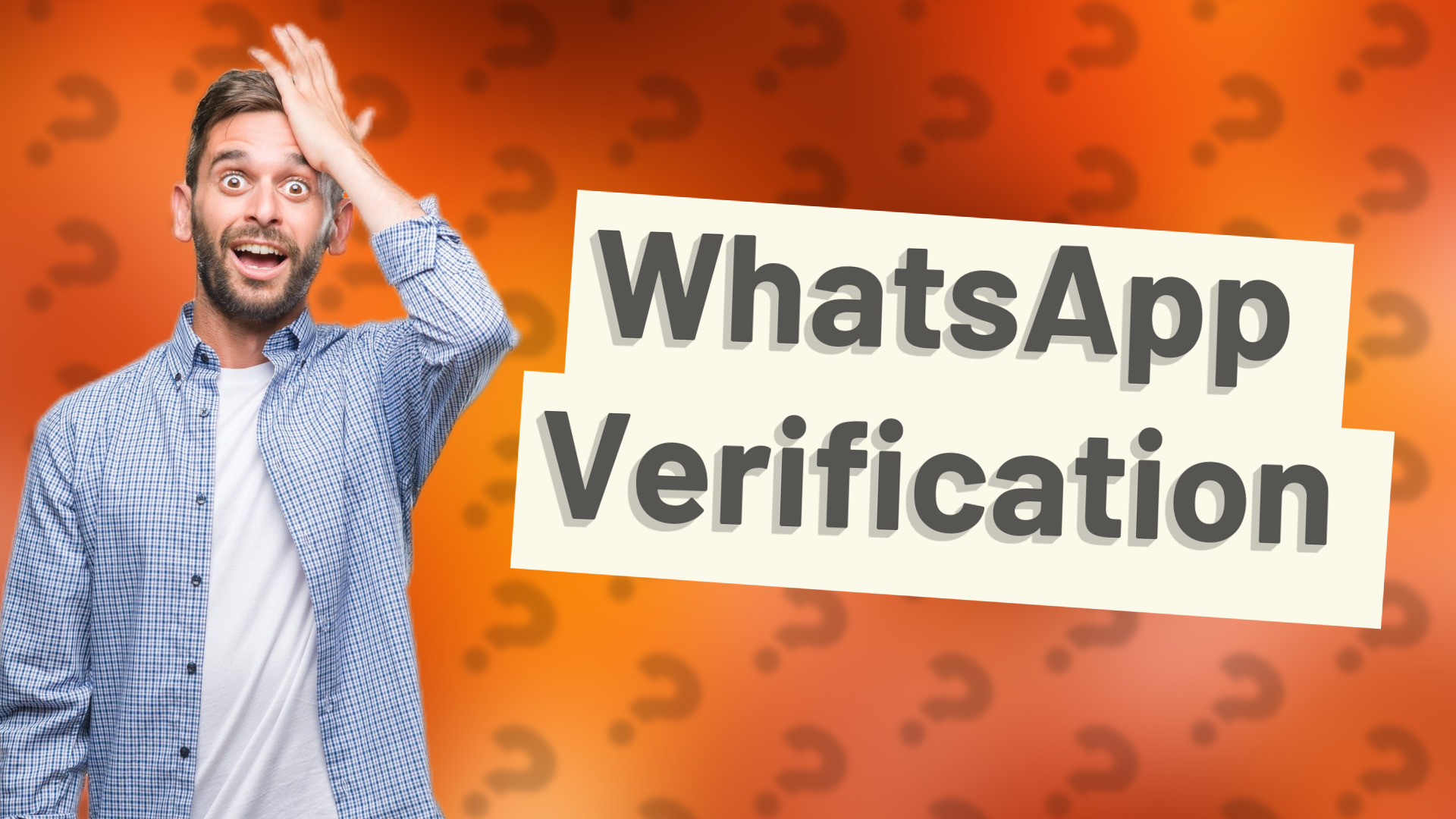 WhatsApp Verification