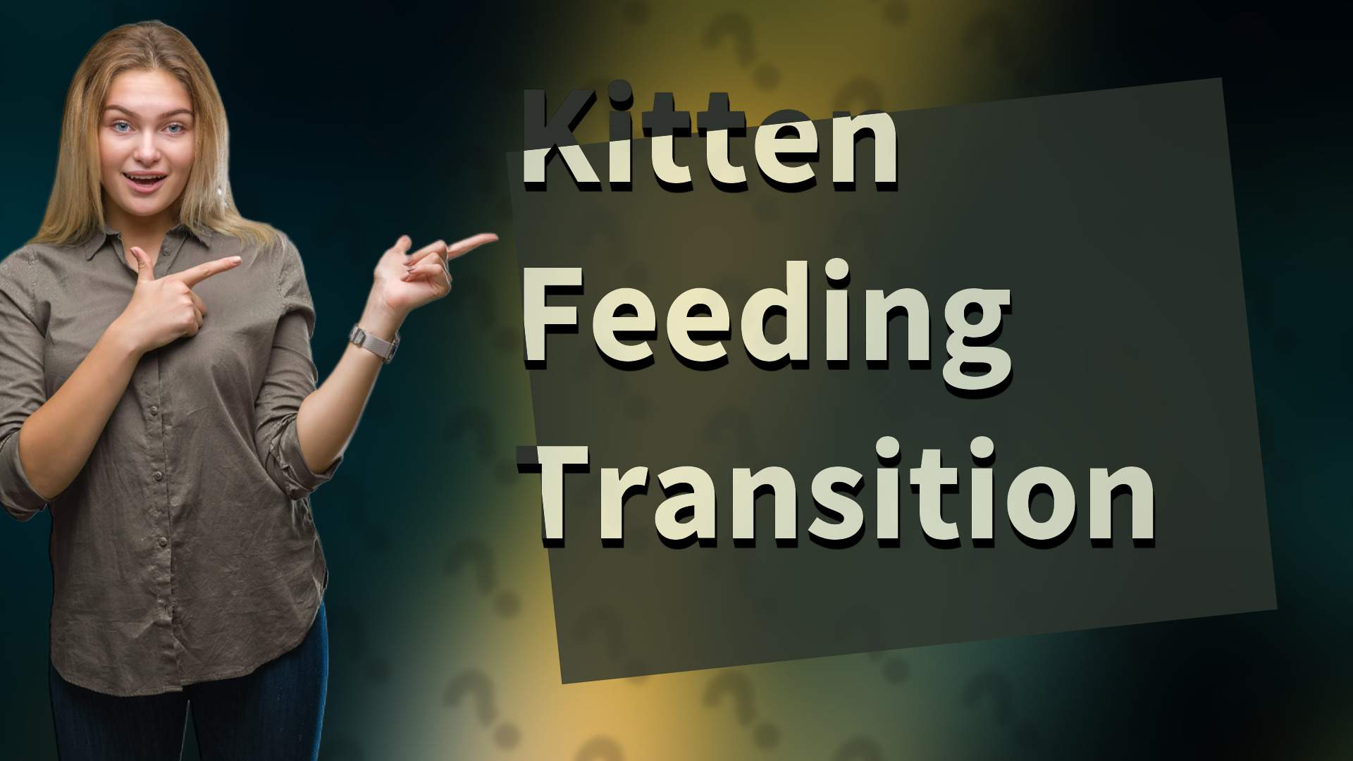 Kitten Feeding Transition