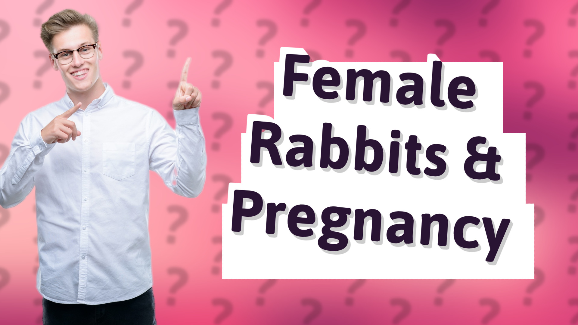 Female Rabbits & Pregnancy