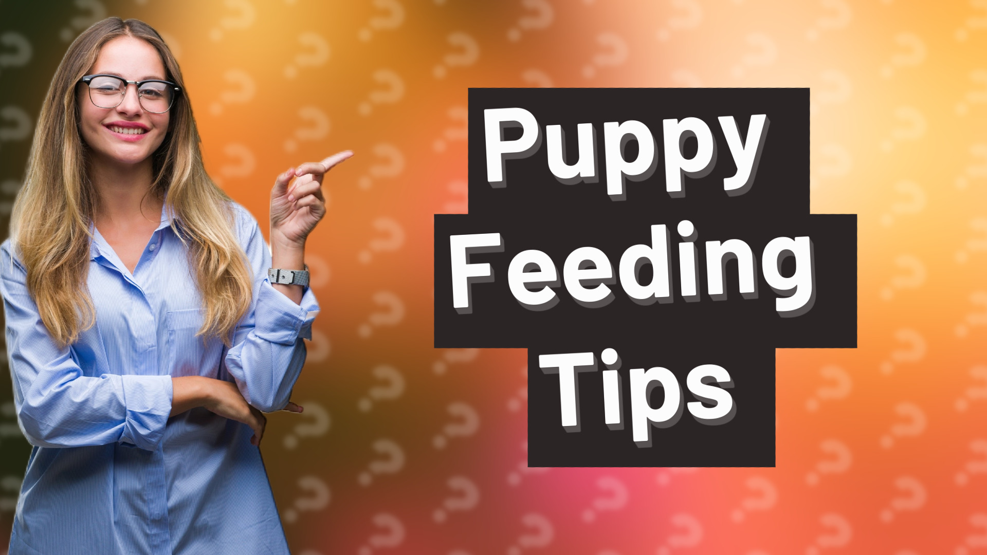 Puppy Feeding Tips