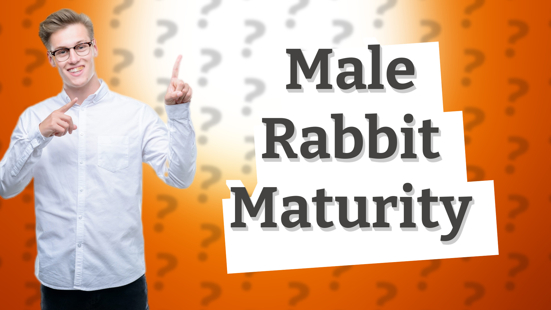 Male Rabbit Maturity