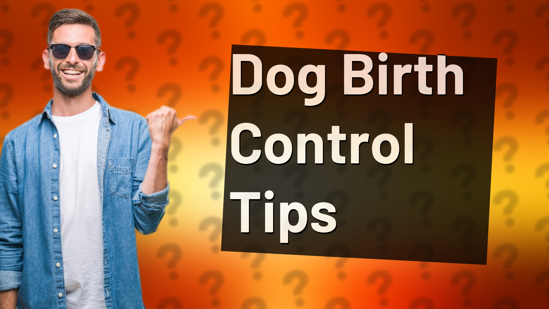 Dog Birth Control Tips