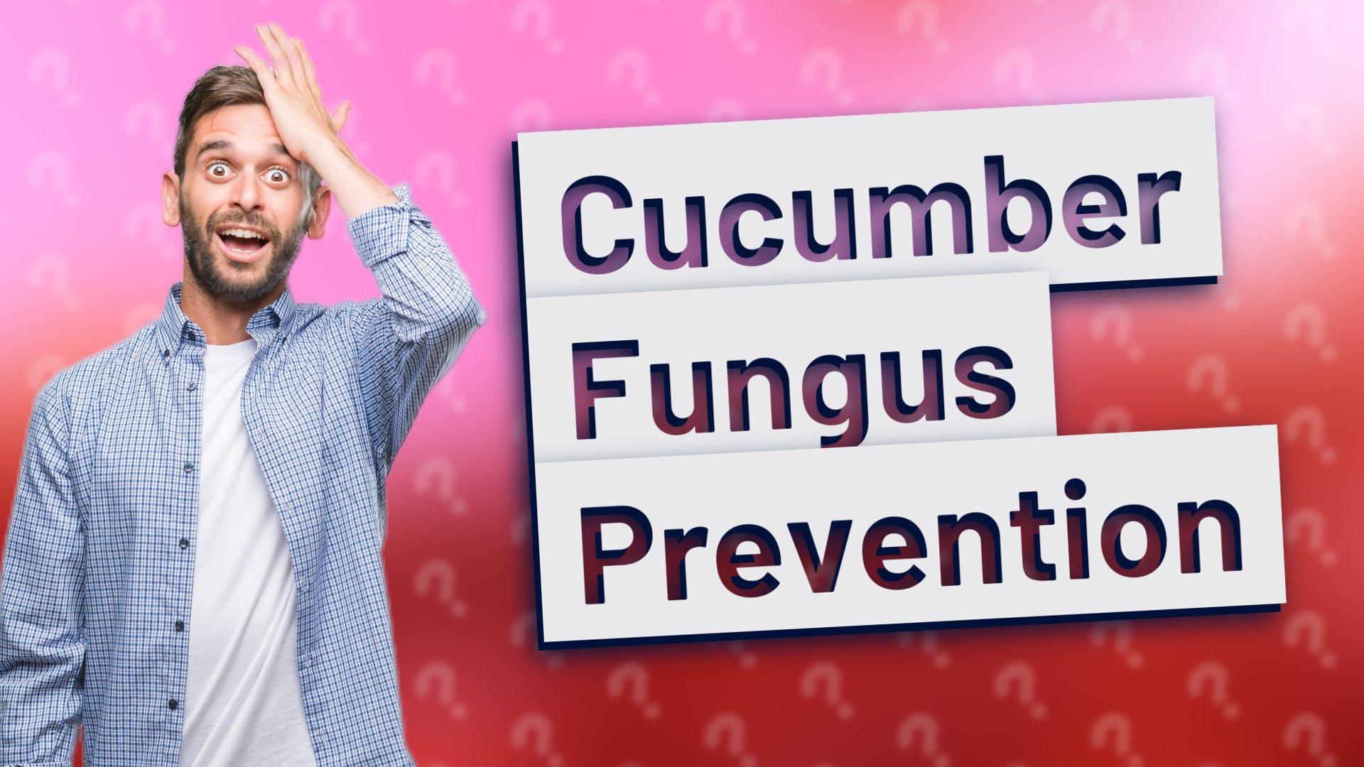 Cucumber Fungus Prevention