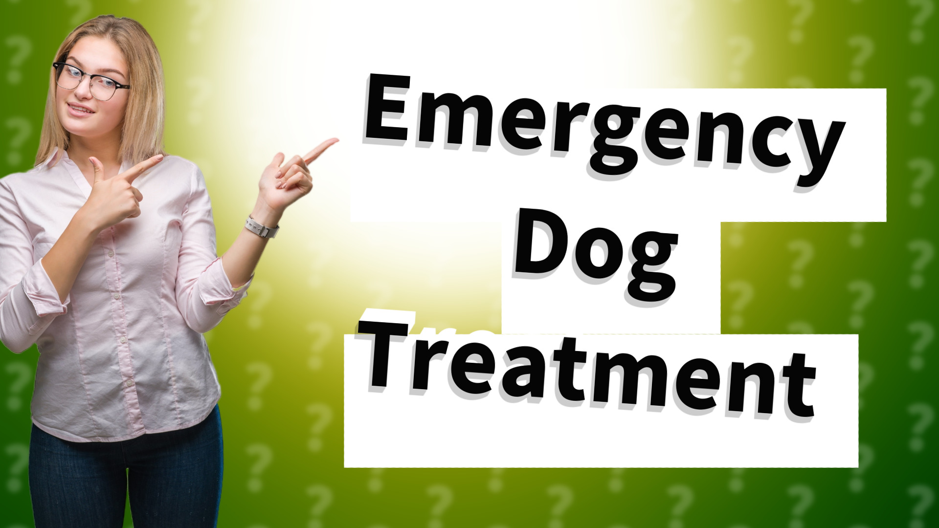 Emergency Dog Treatment