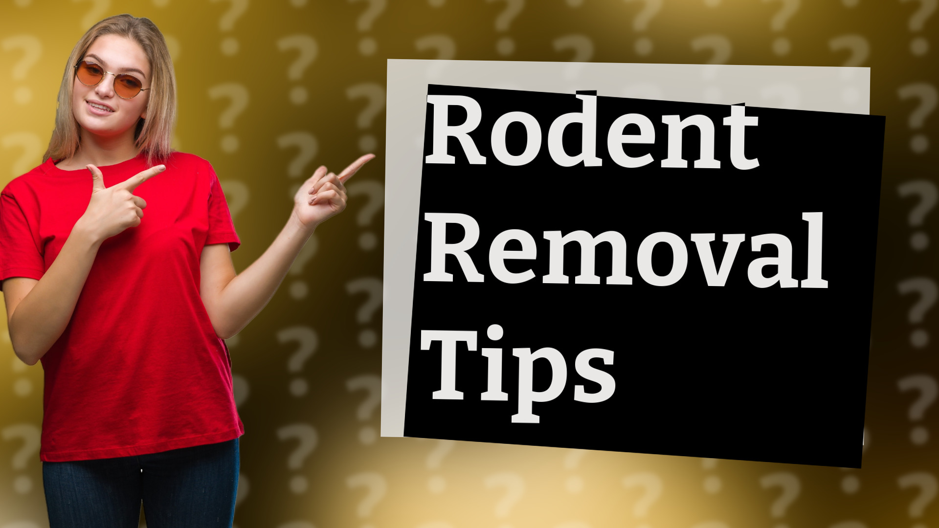 Rodent Removal Tips