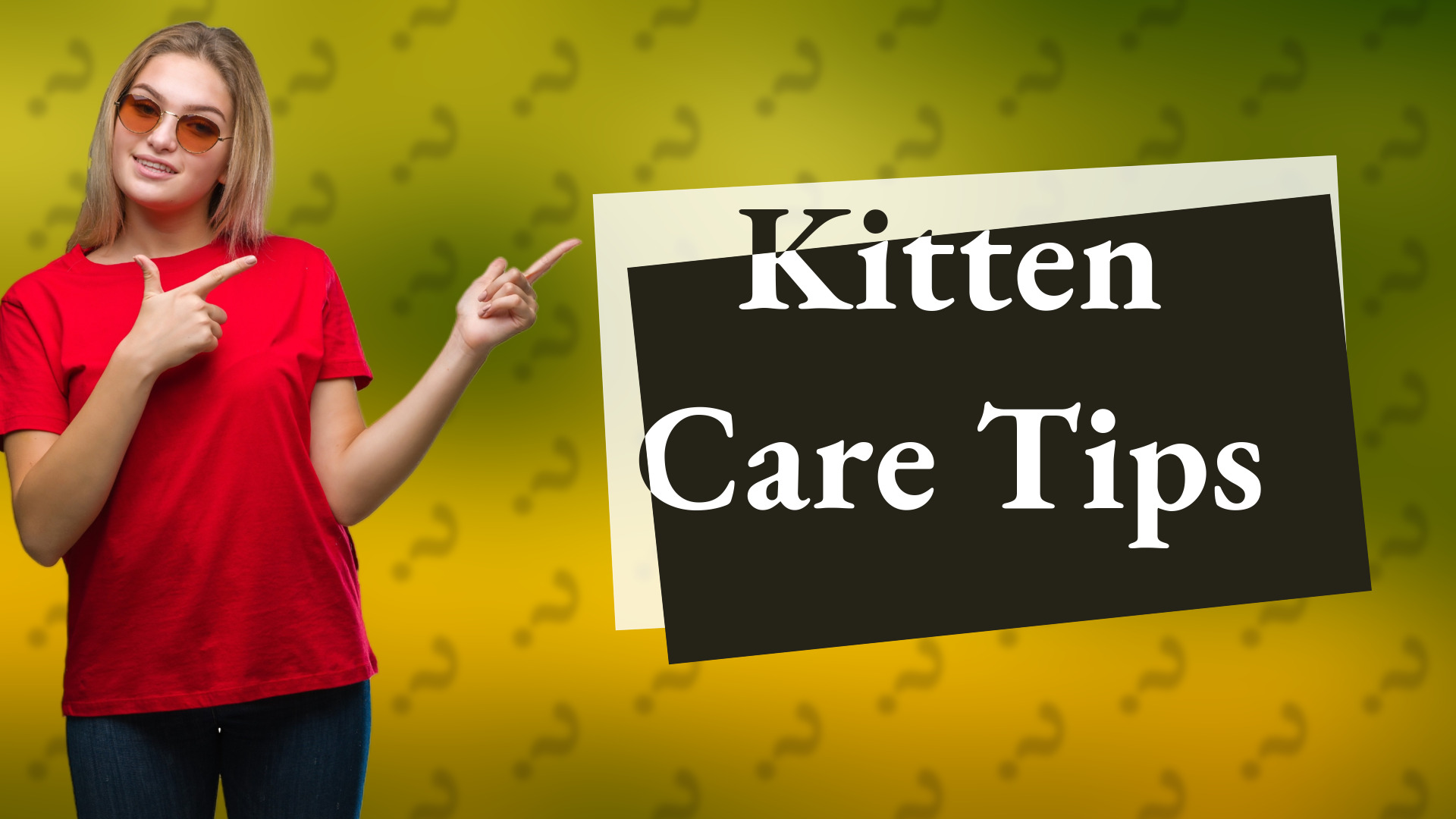 Kitten Care Tips