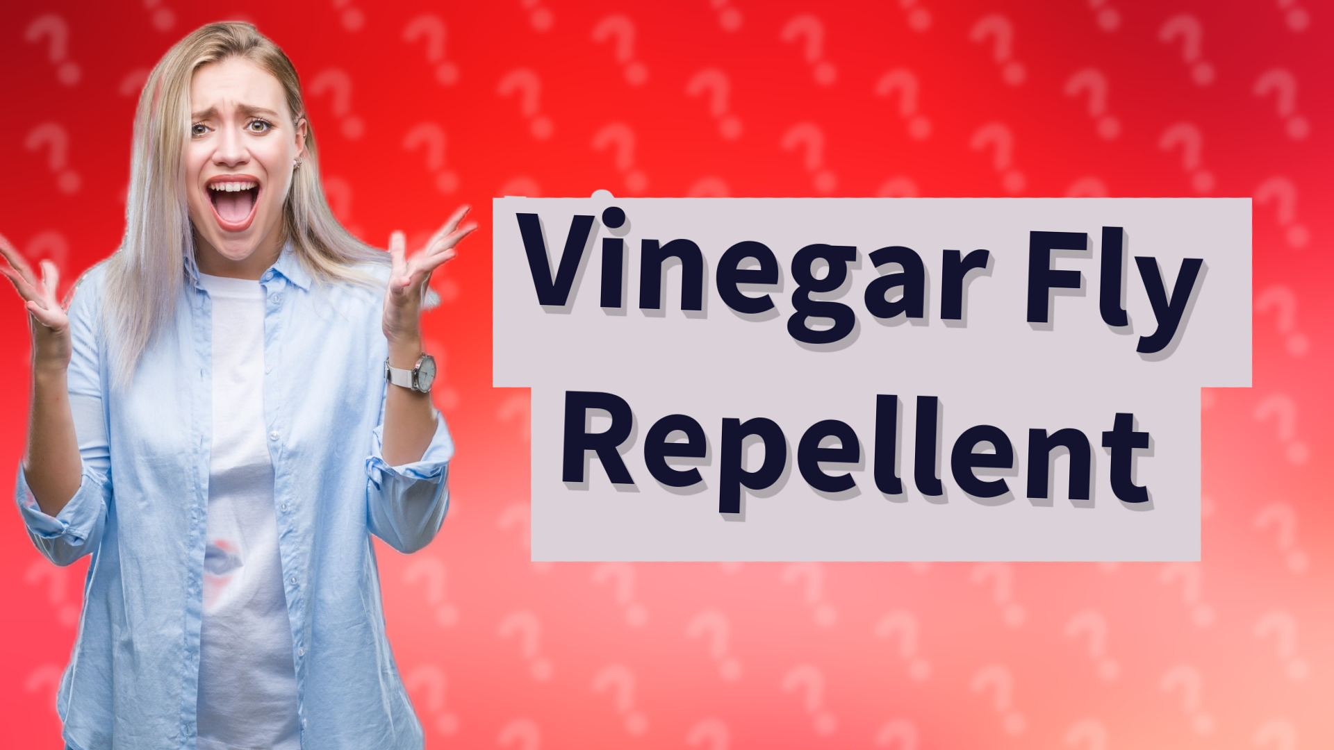 Vinegar Fly Repellent