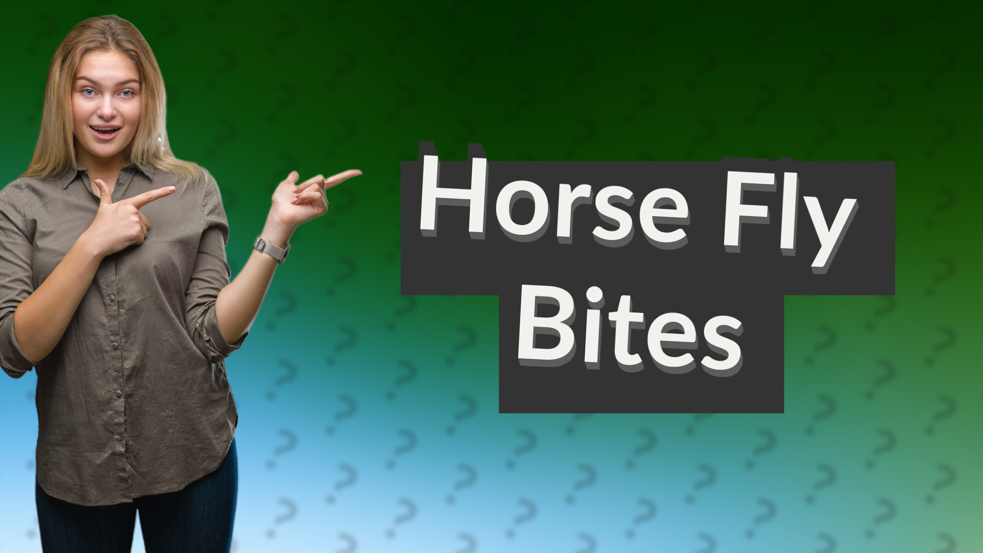 Horse Fly Bites