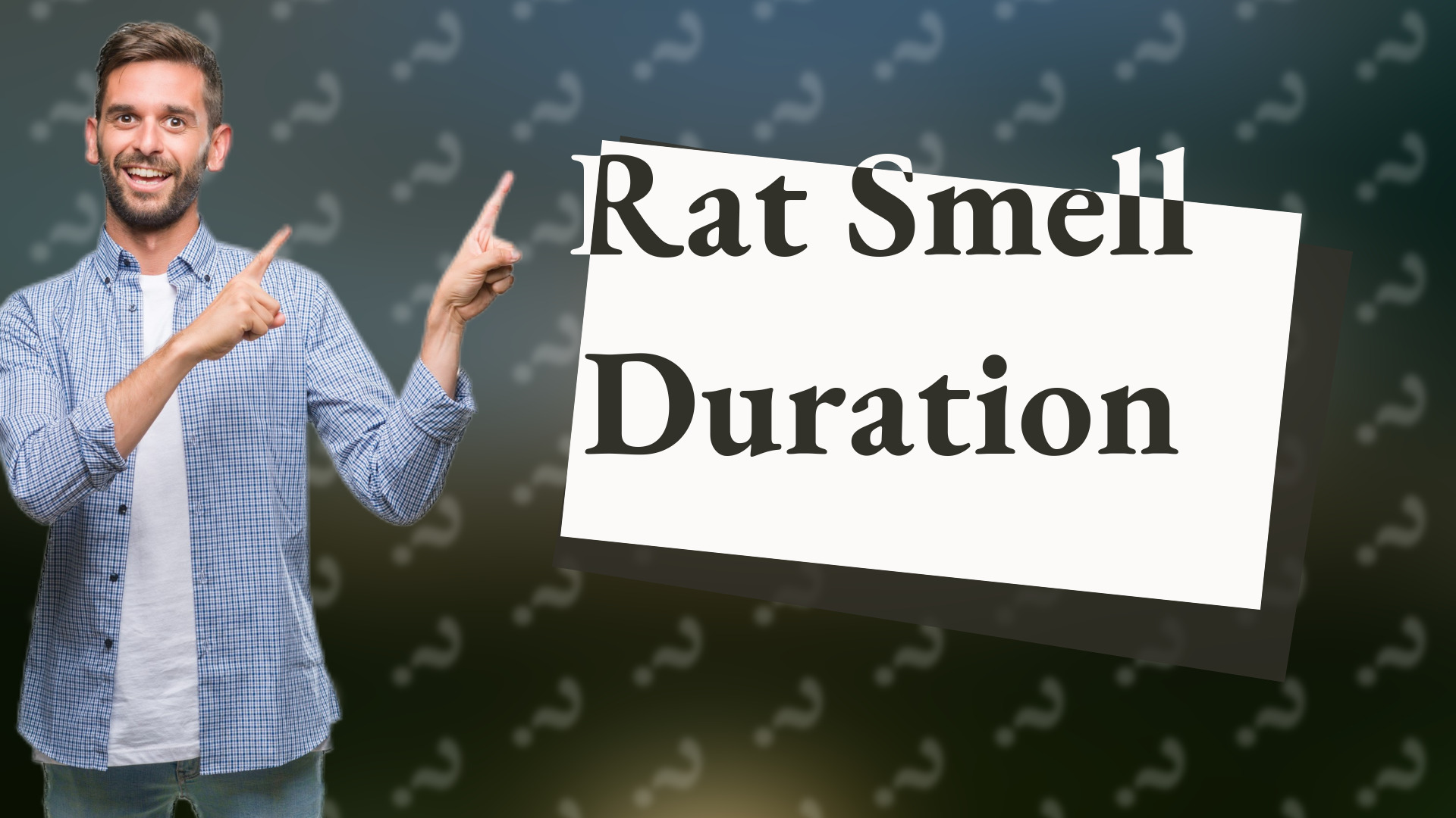 Rat Smell Duration