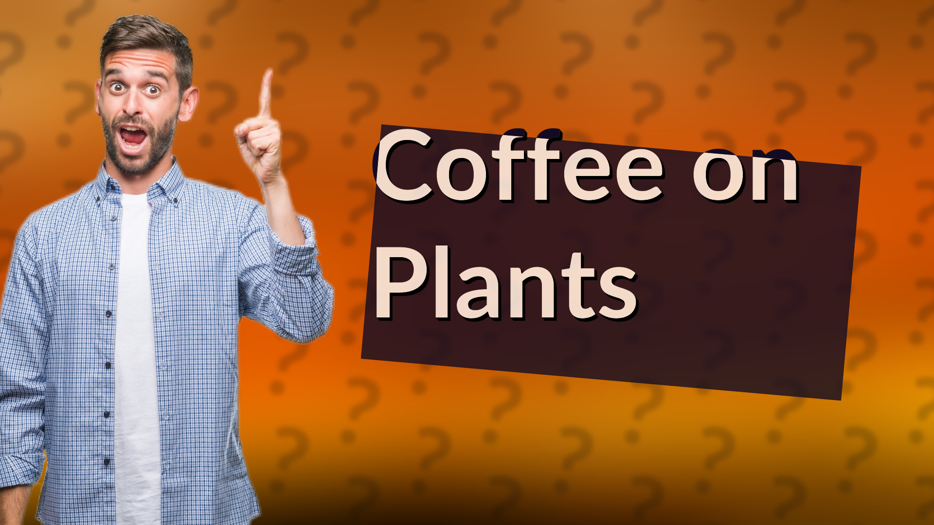 Coffee on Plants