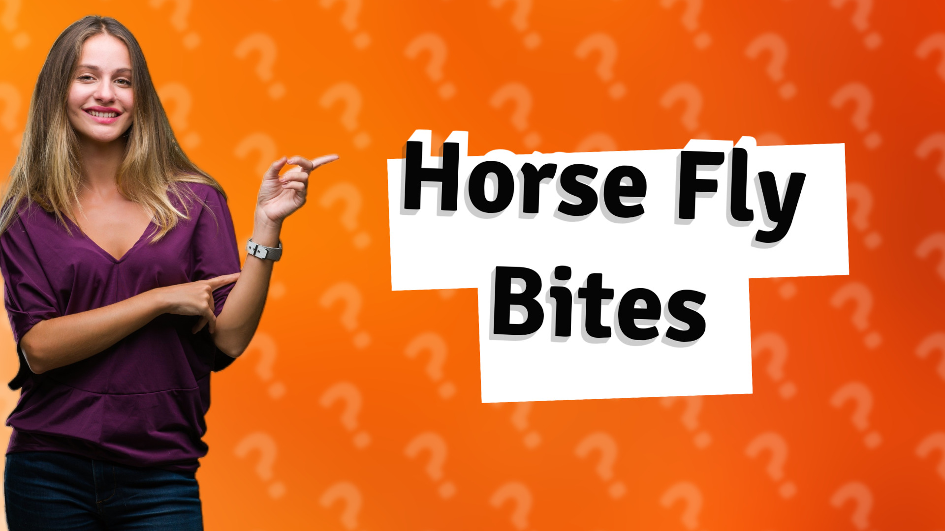 Horse Fly Bites