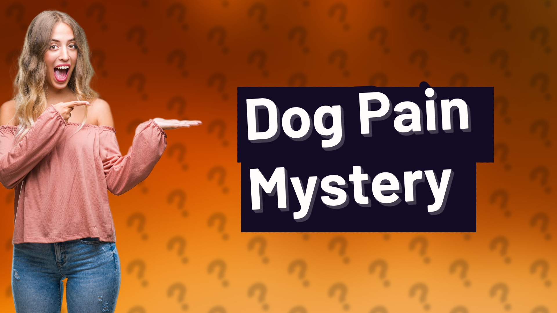 Dog Pain Mystery