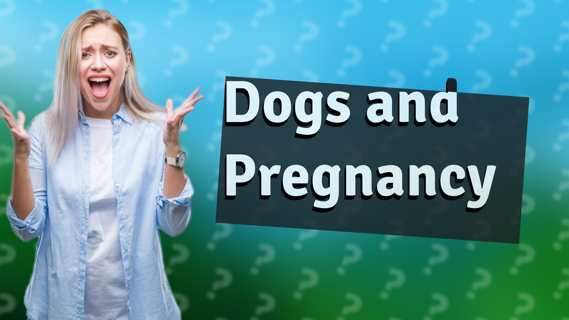 Dogs and Pregnancy