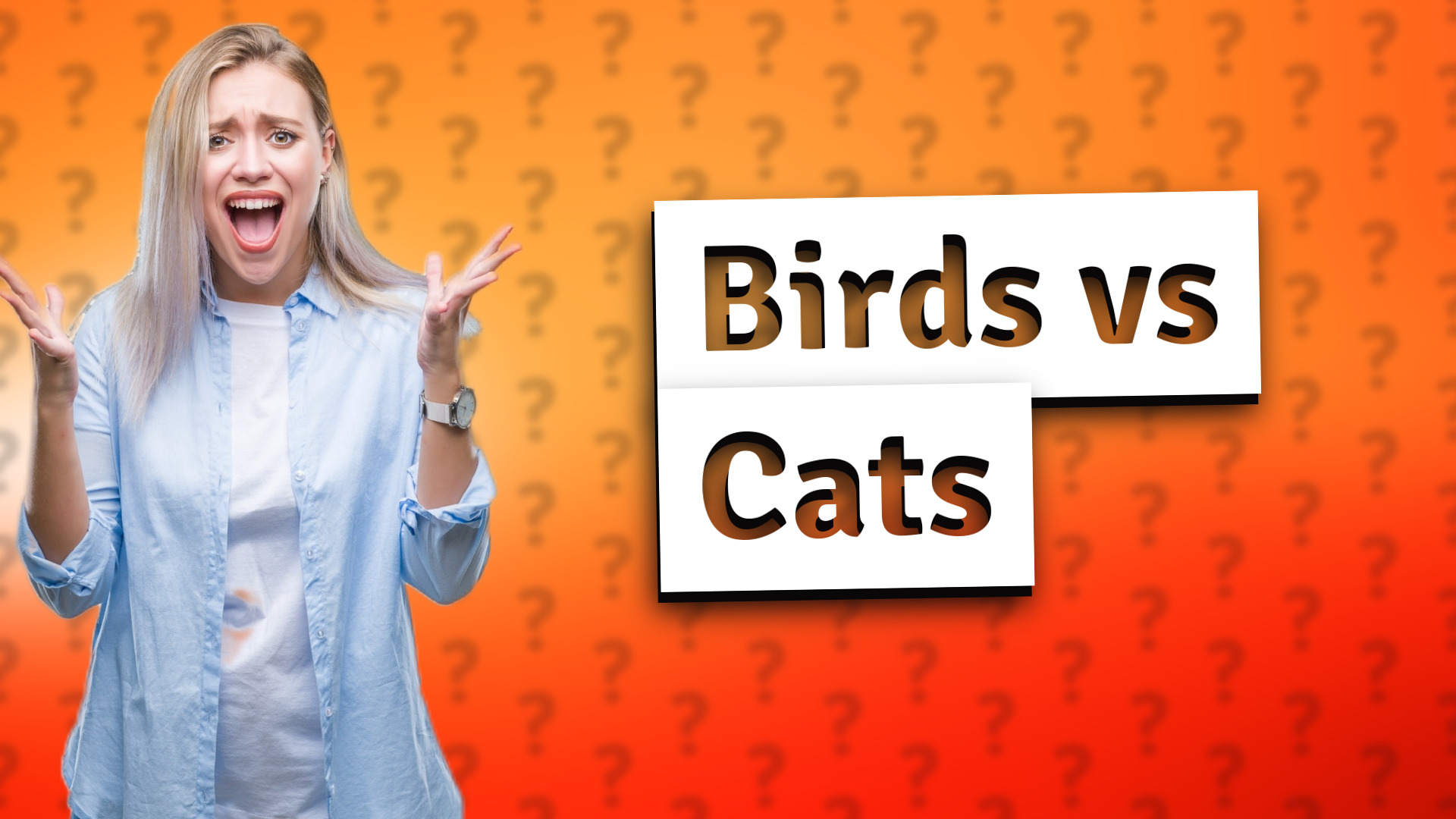 Birds vs Cats