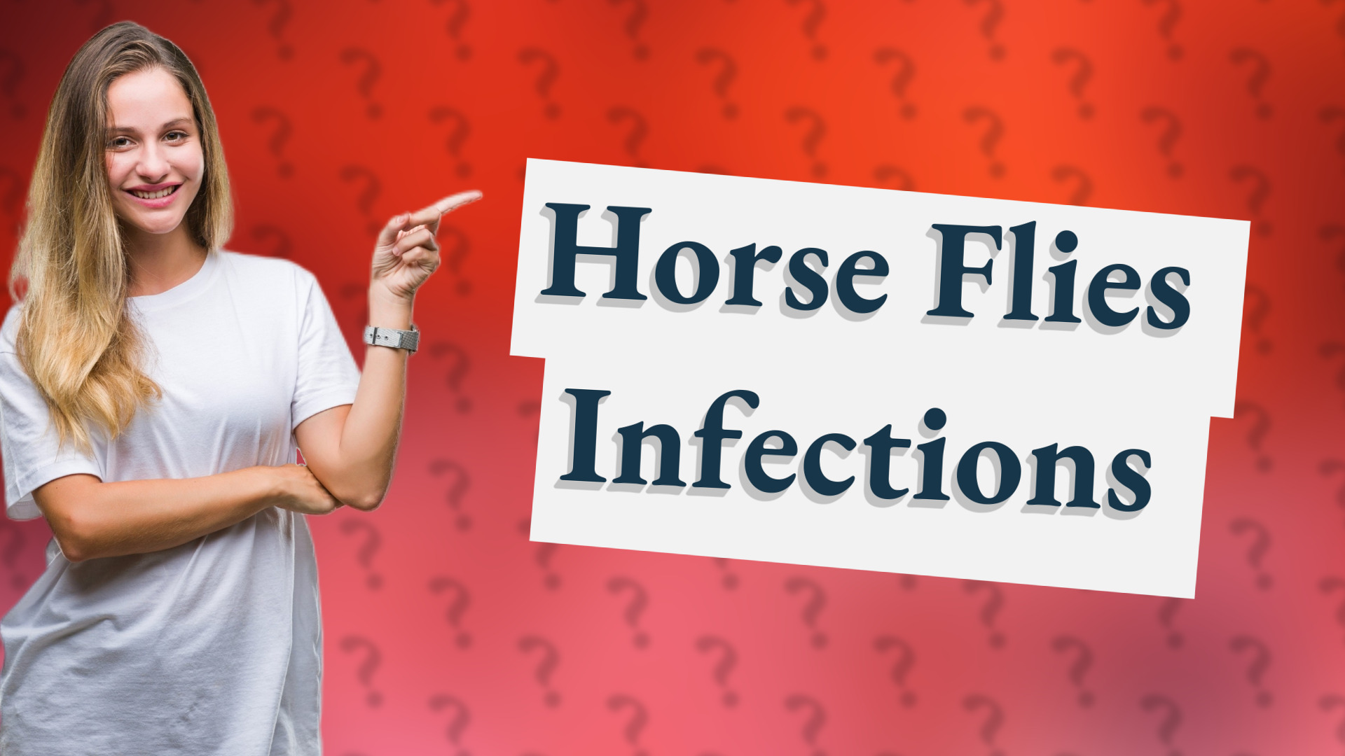Horse Flies Infections