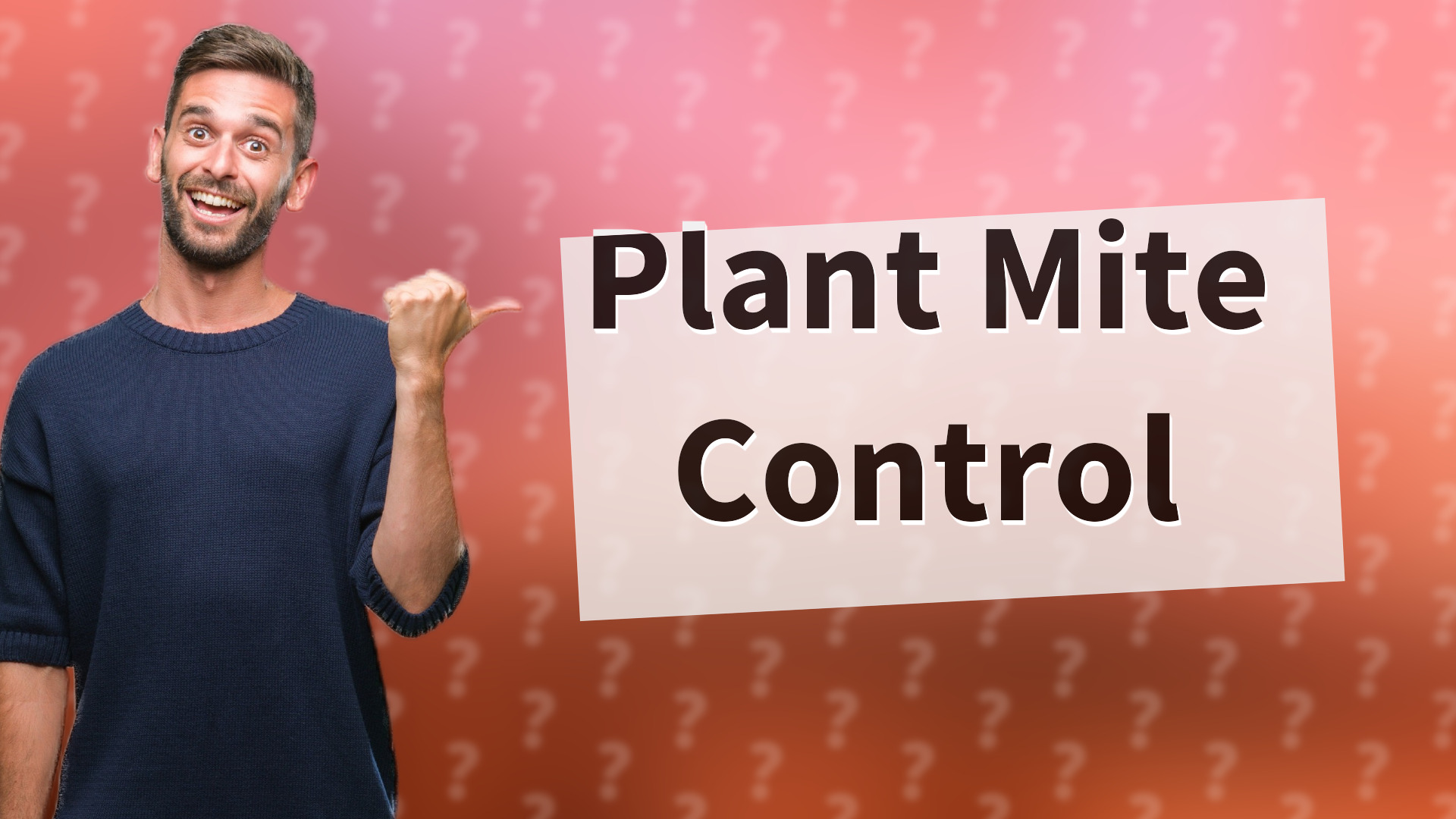 Plant Mite Control