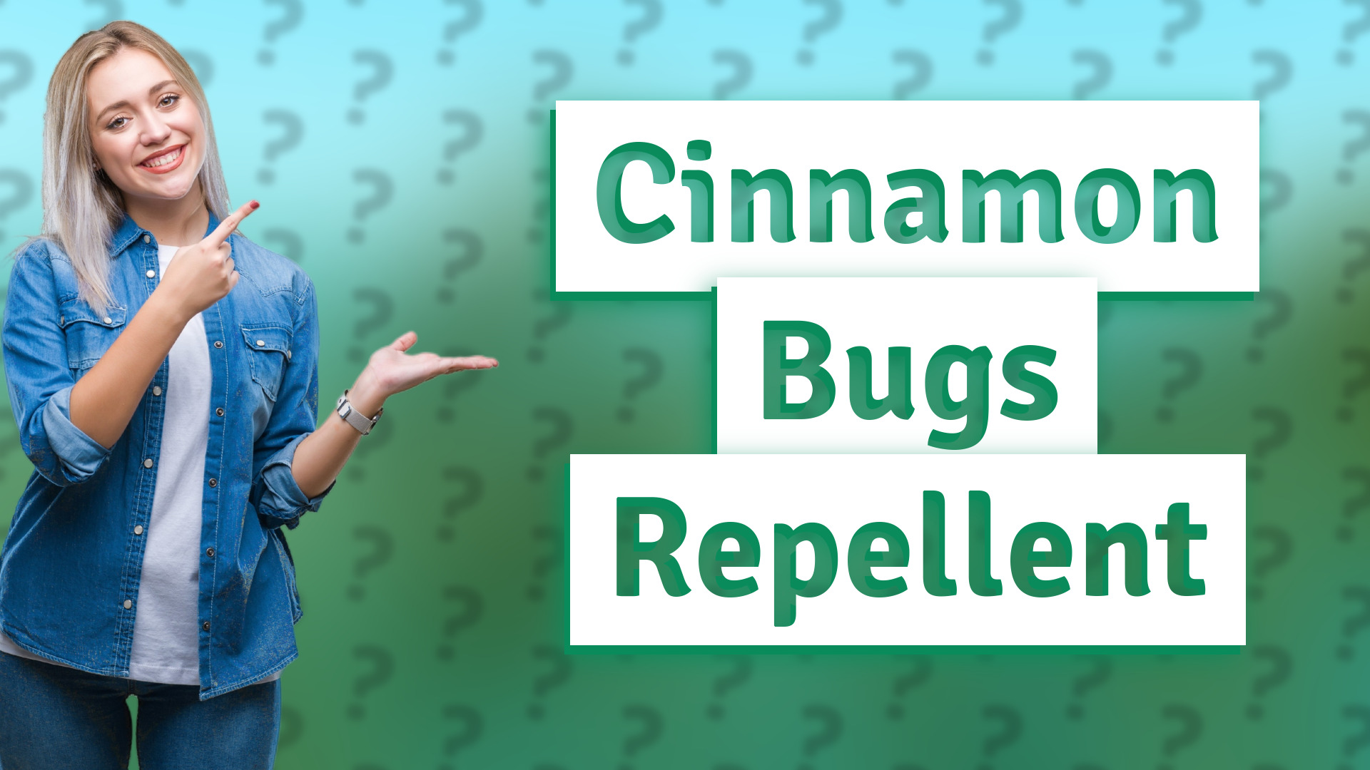 Cinnamon Bugs Repellent