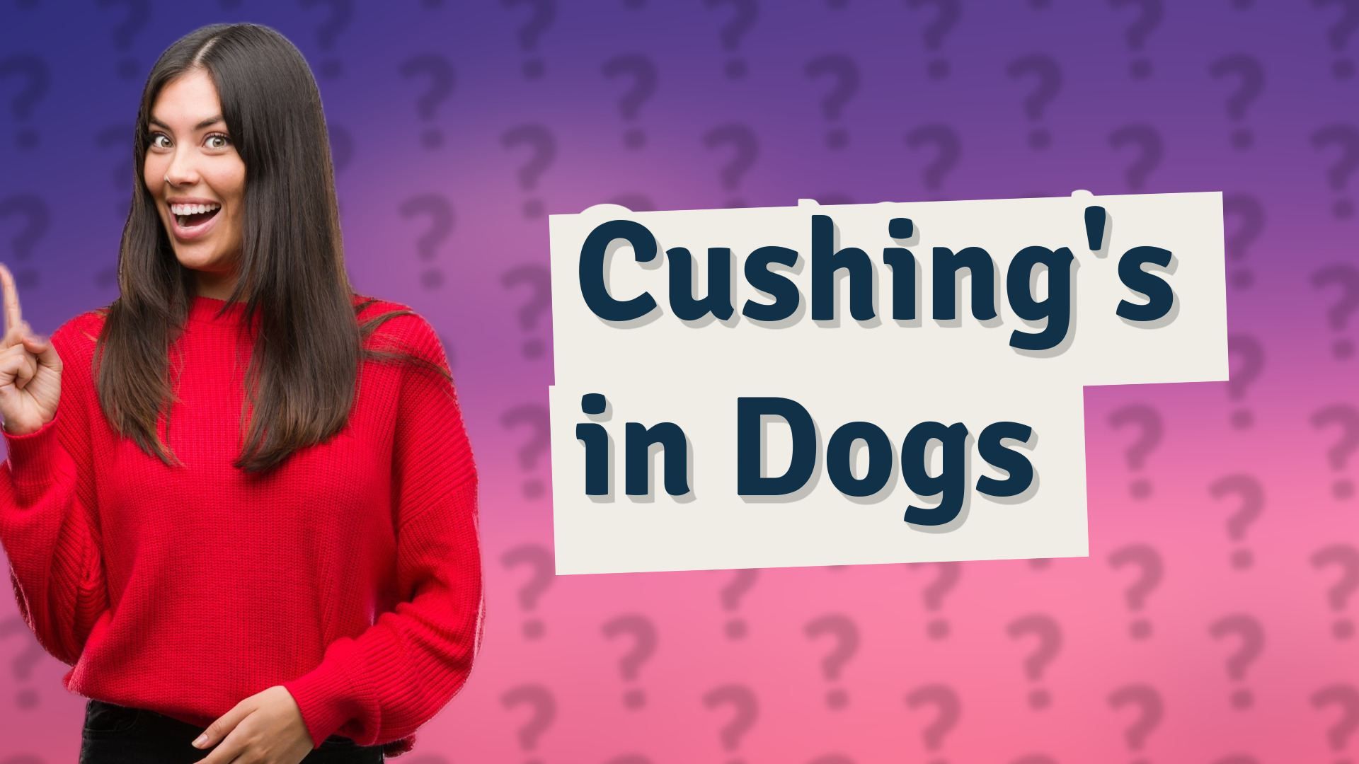 Cushing's in Dogs