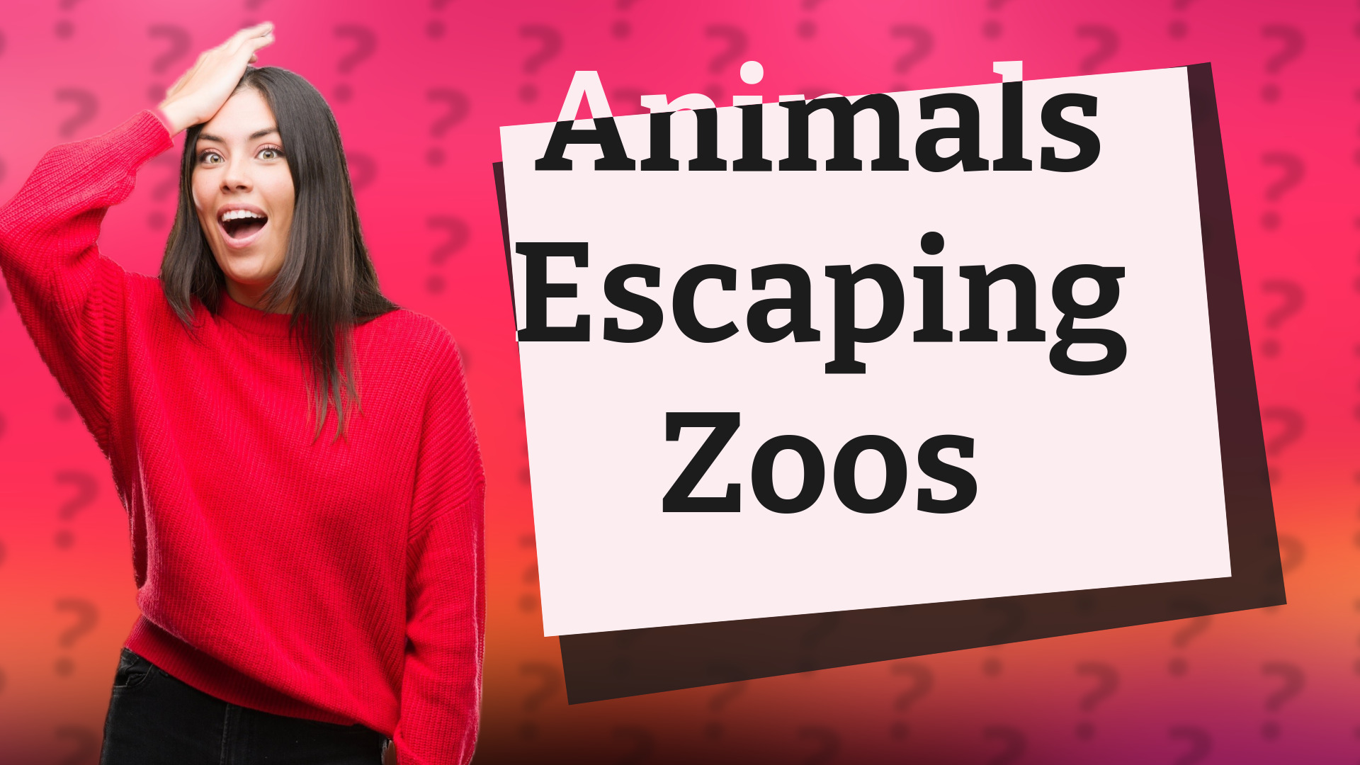 Animals Escaping Zoos