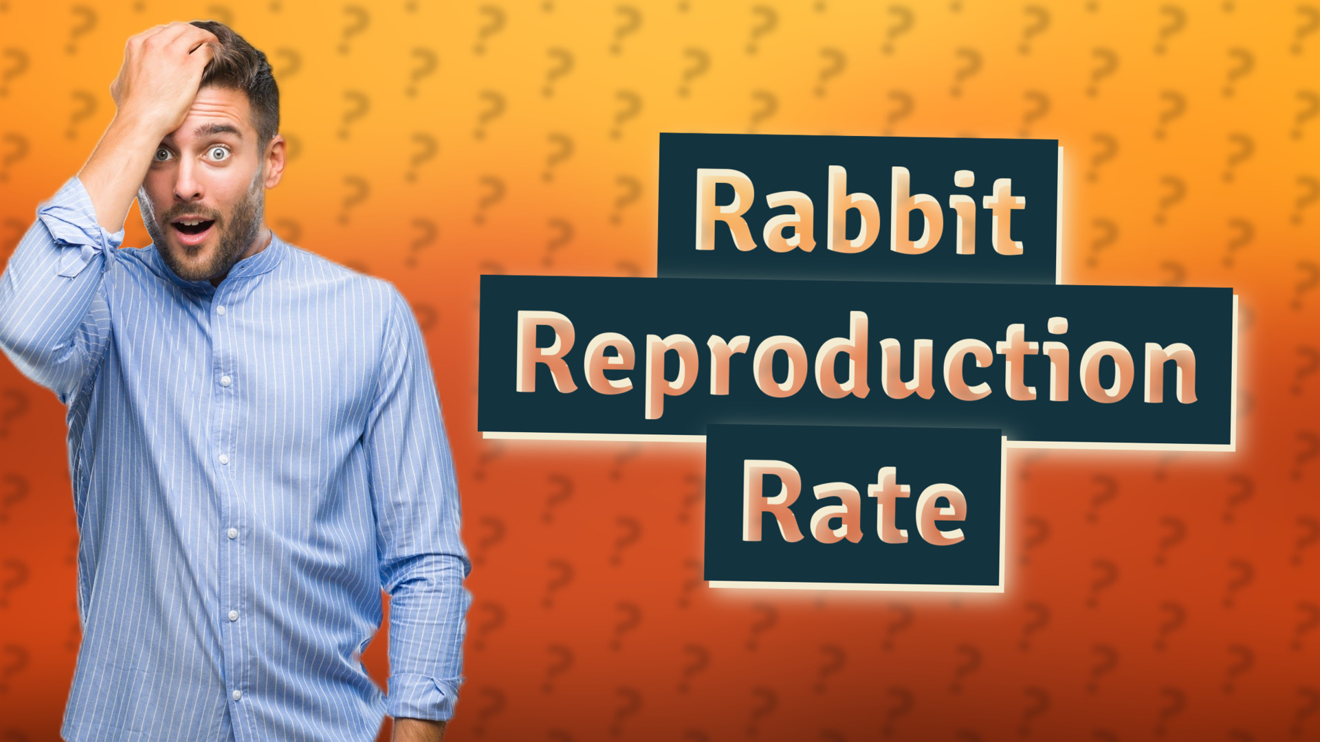 Rabbit Reproduction Rate