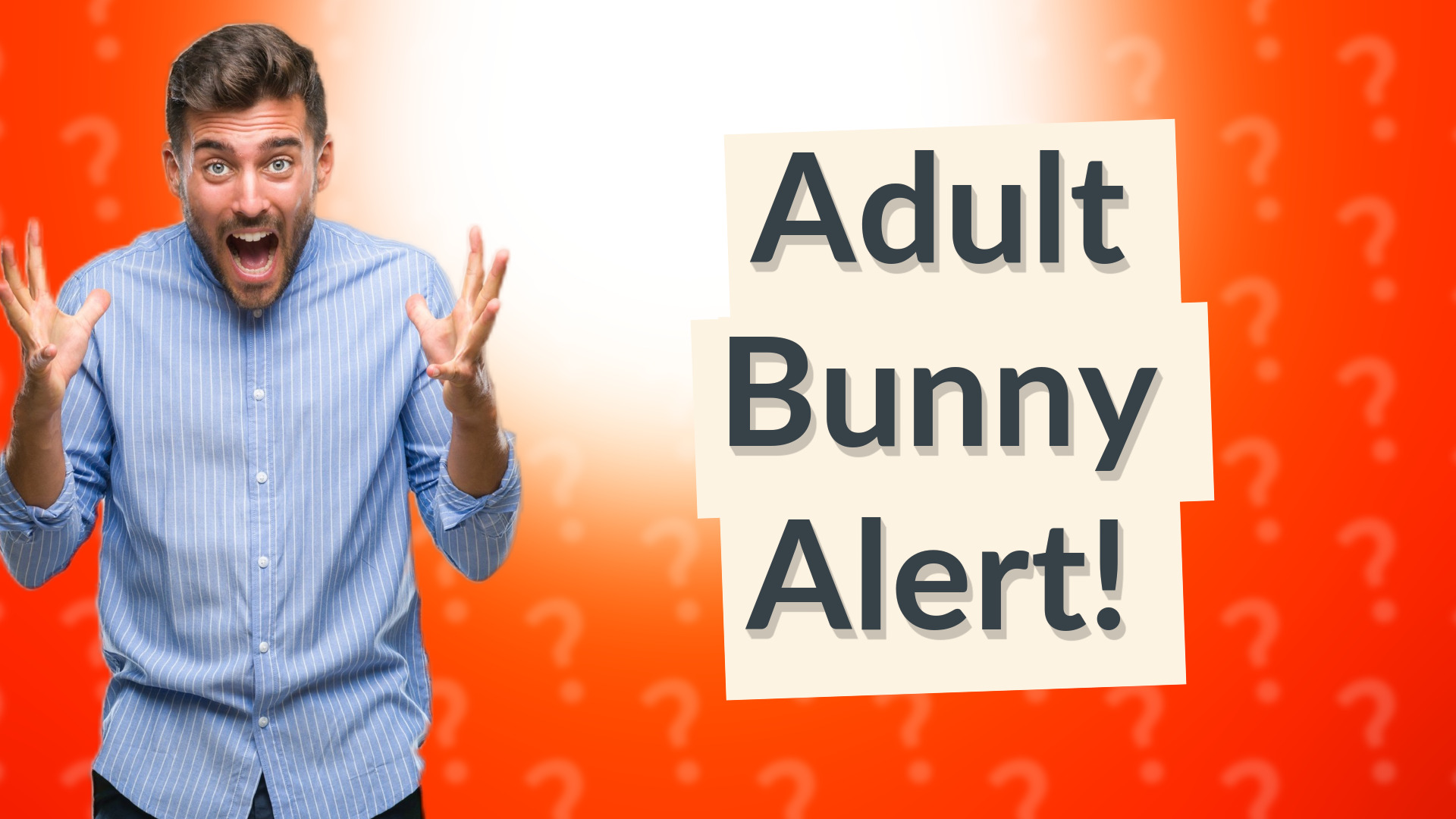Adult Bunny Alert!