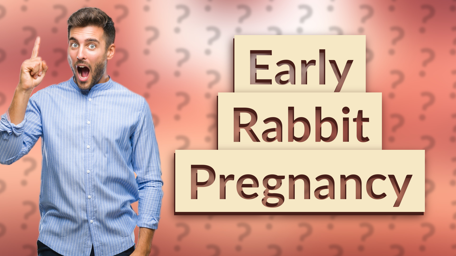 Early Rabbit Pregnancy