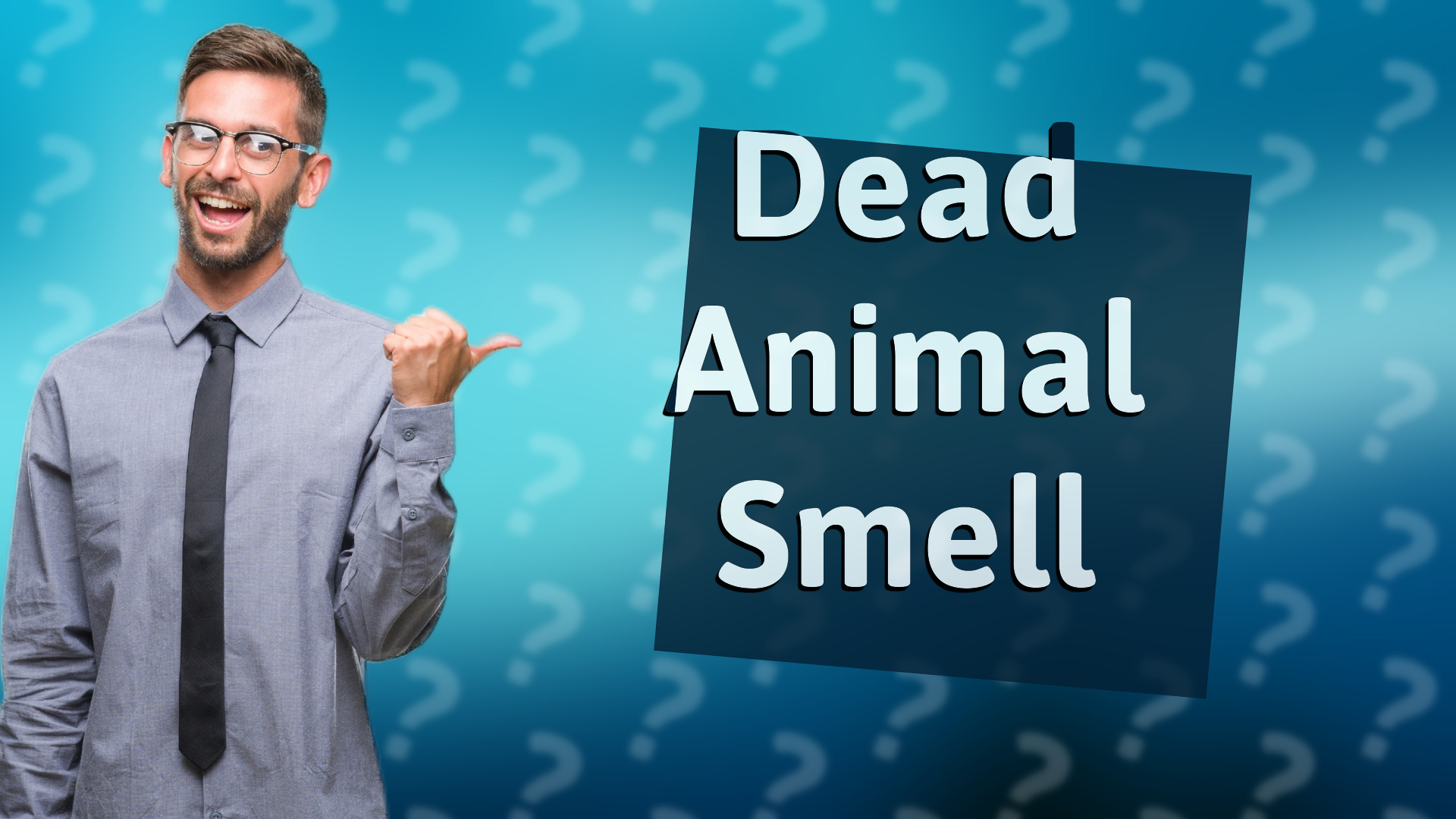 Dead Animal Smell