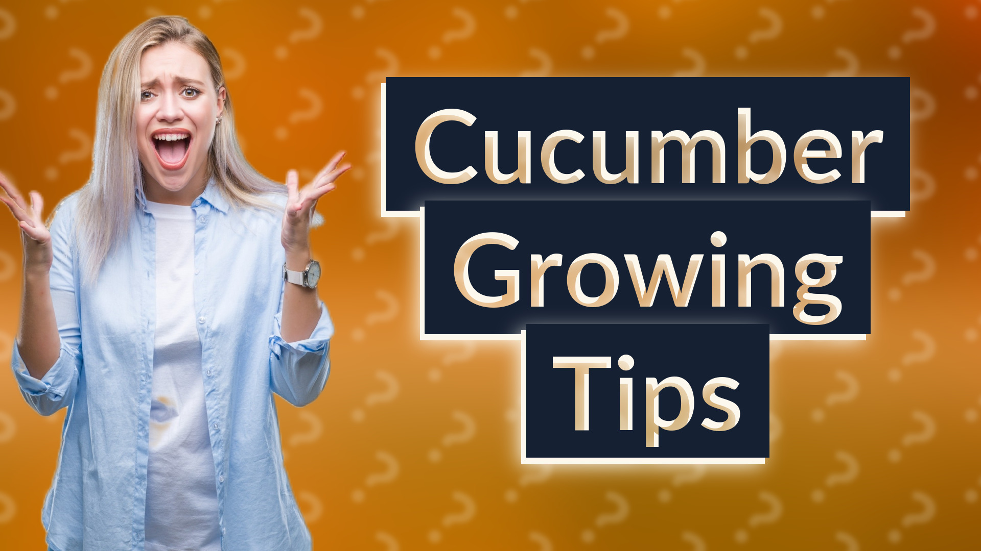 Cucumber Growing Tips