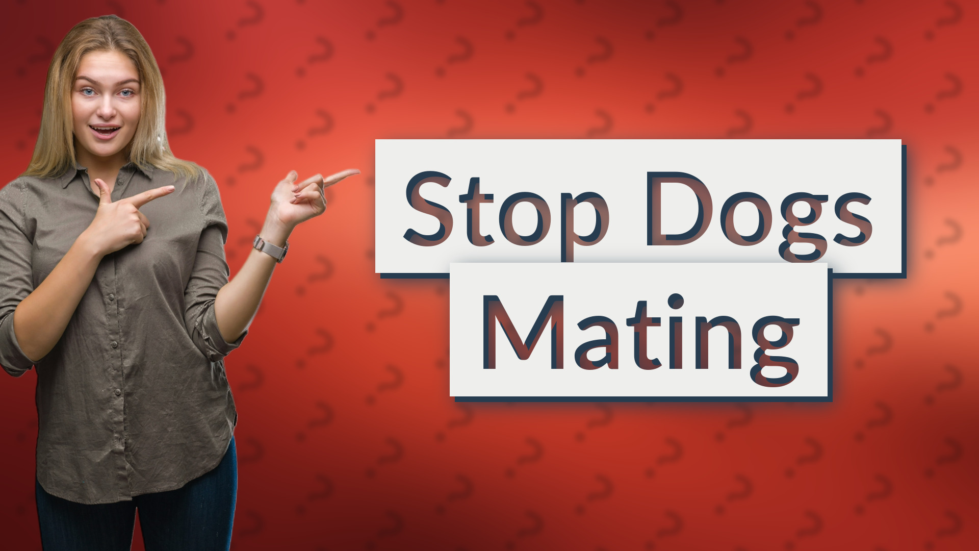 Stop Dogs Mating