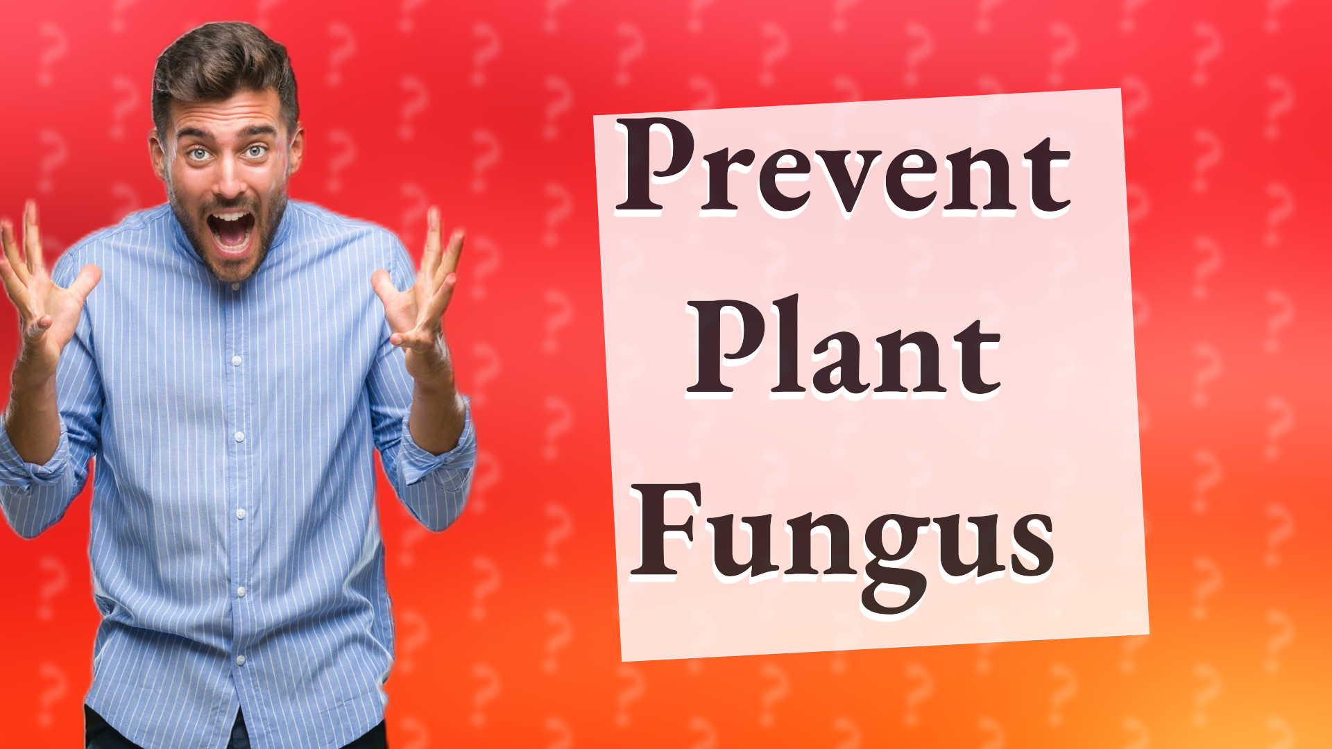 Prevent Plant Fungus