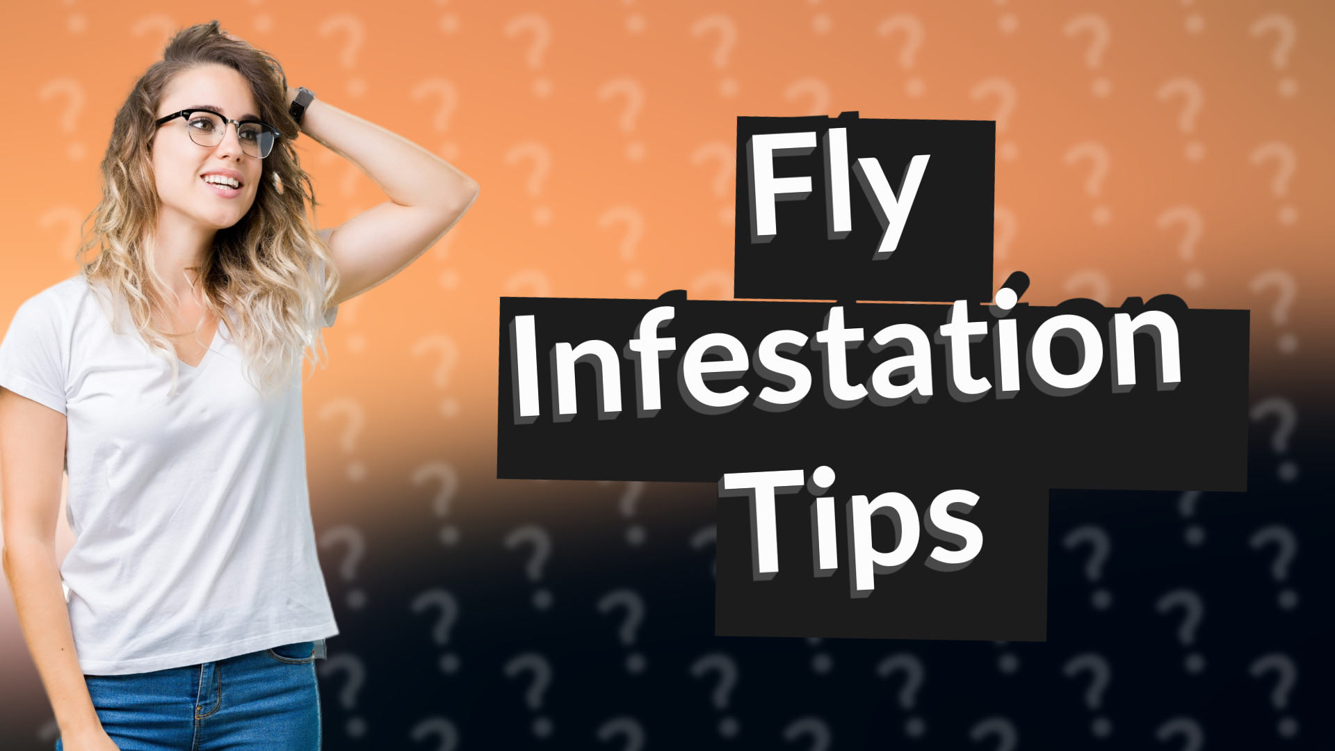 Fly Infestation Tips
