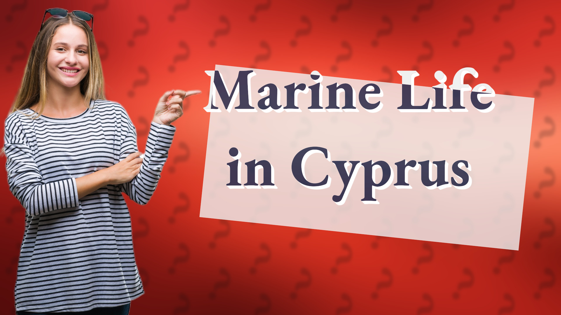 Marine Life in Cyprus