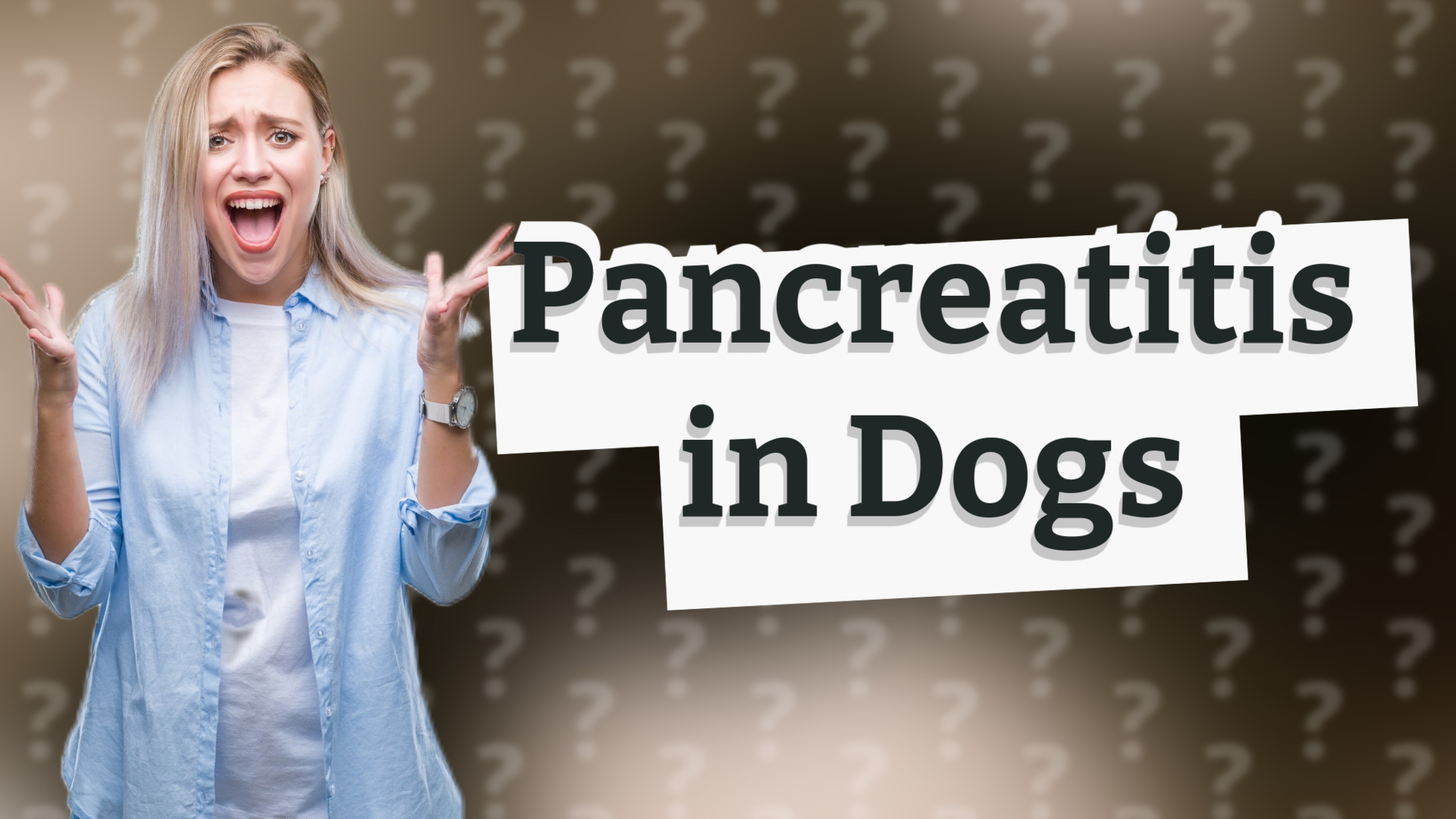 Pancreatitis in Dogs