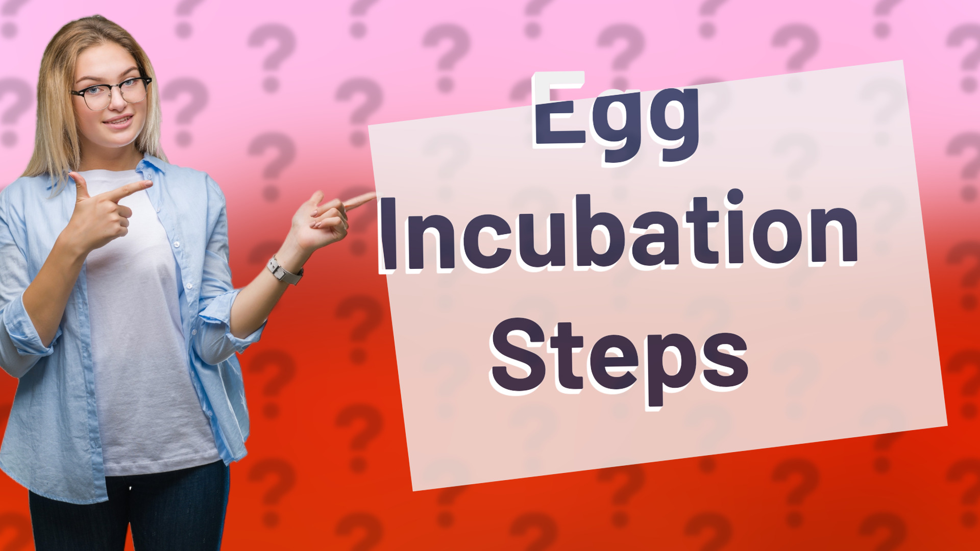 Egg Incubation Steps