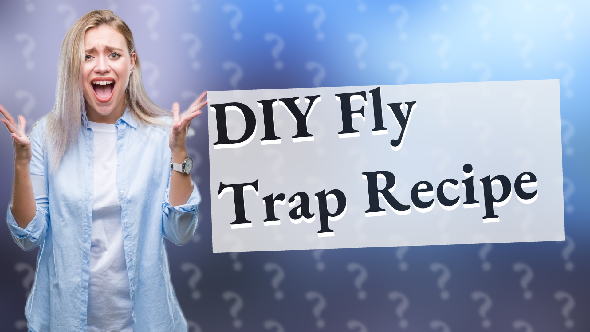 DIY Fly Trap Recipe