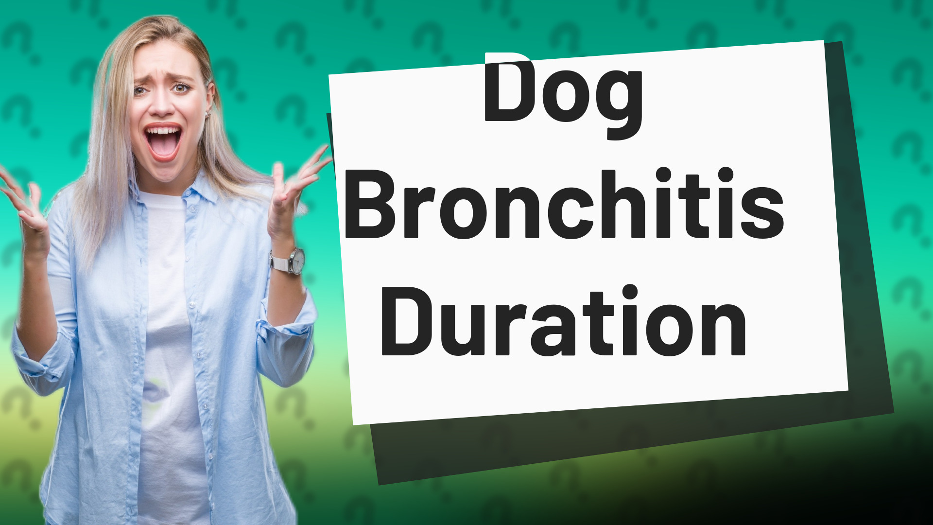 Dog Bronchitis Duration
