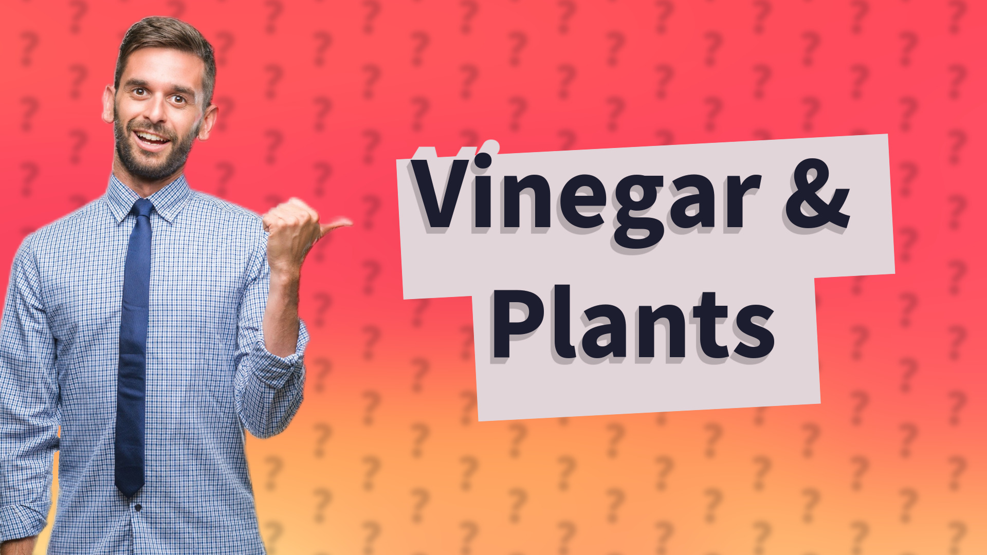 Vinegar & Plants