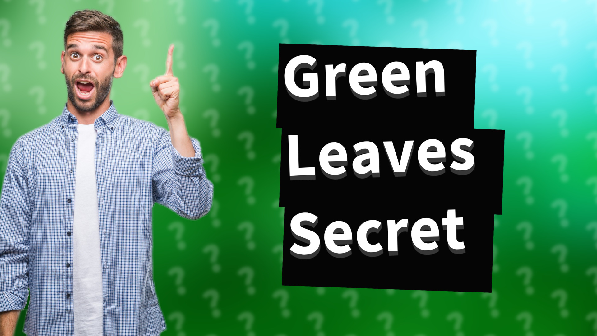 Green Leaves Secret