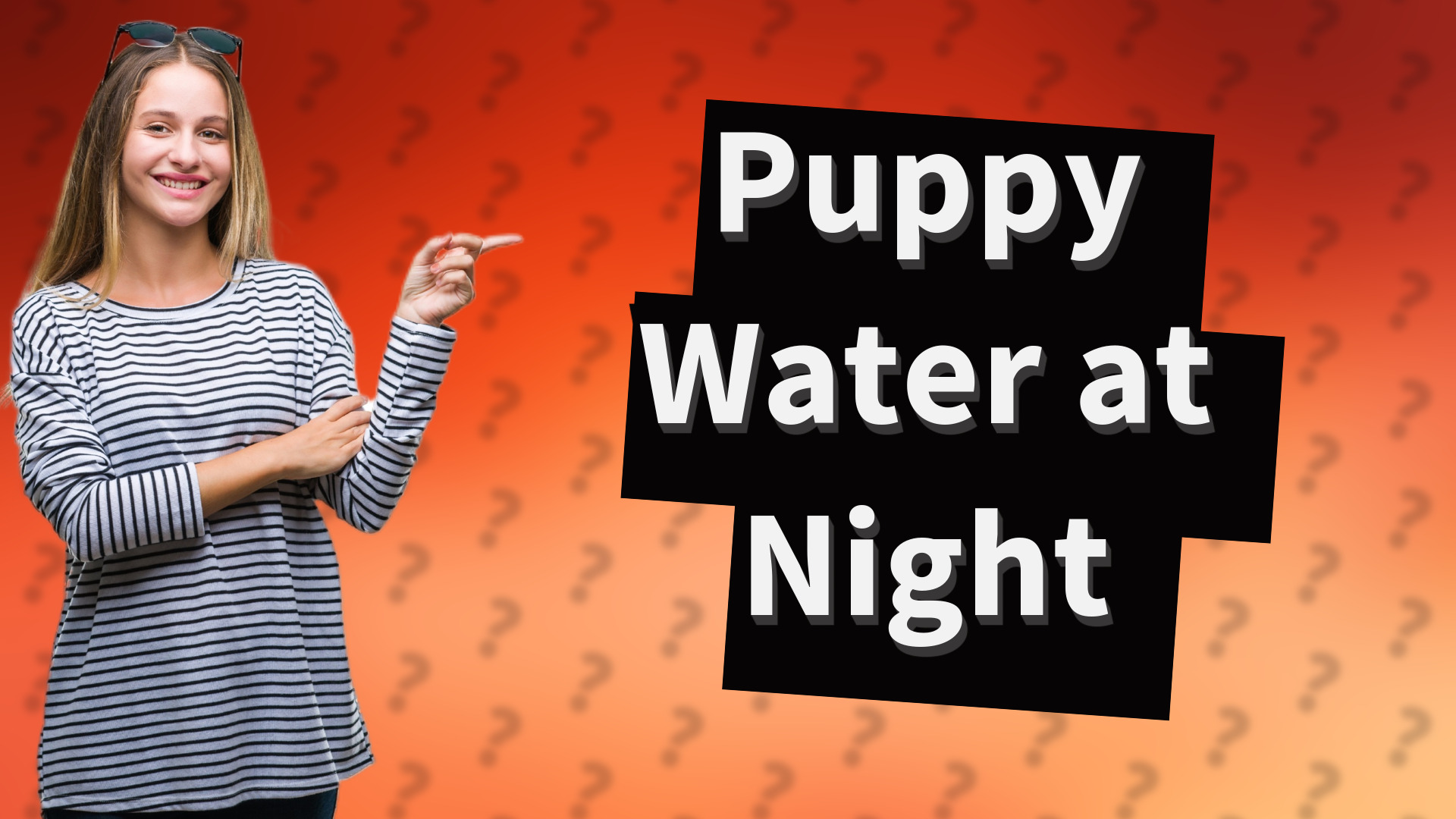 Puppy Water at Night