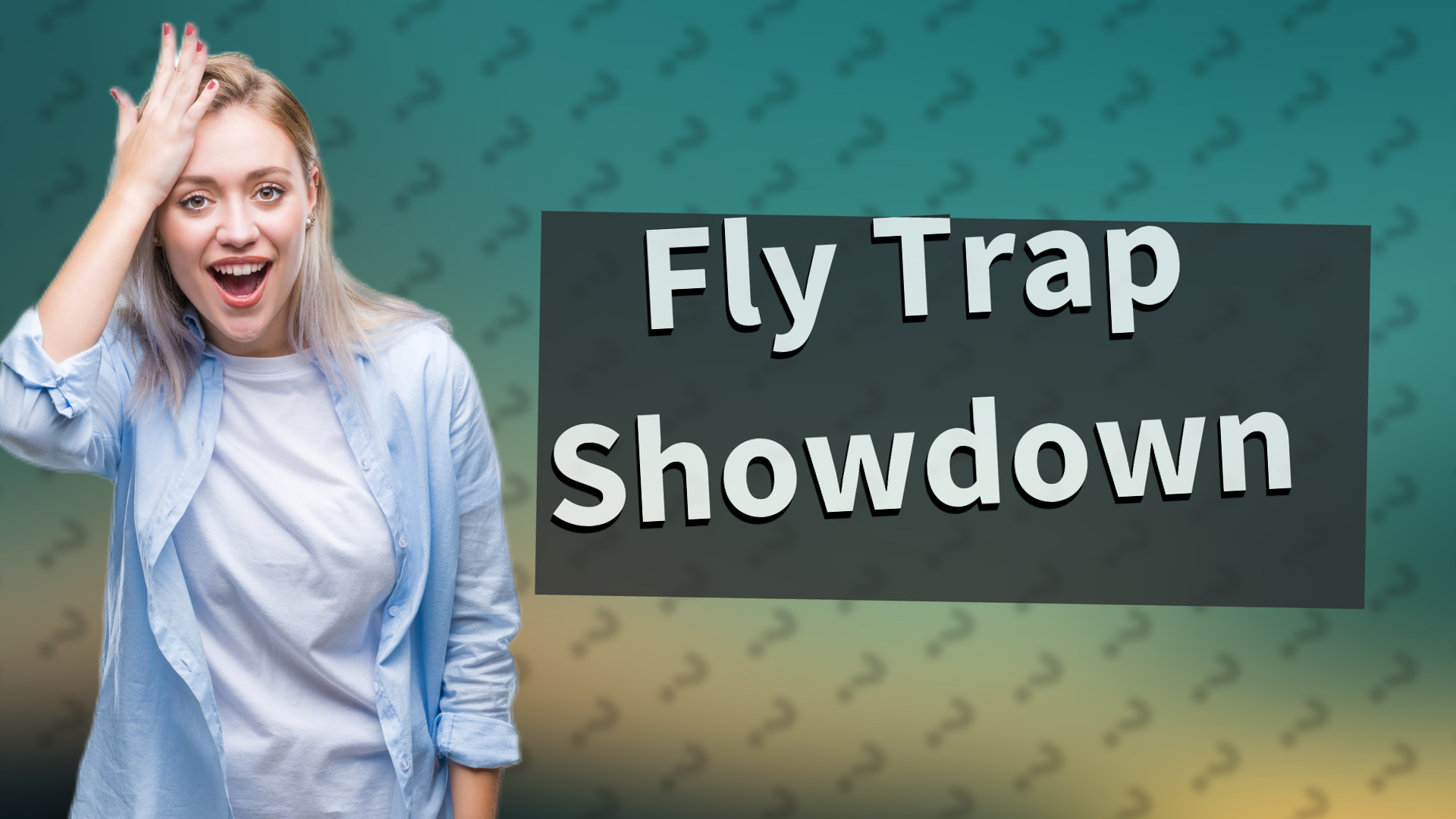 Fly Trap Showdown