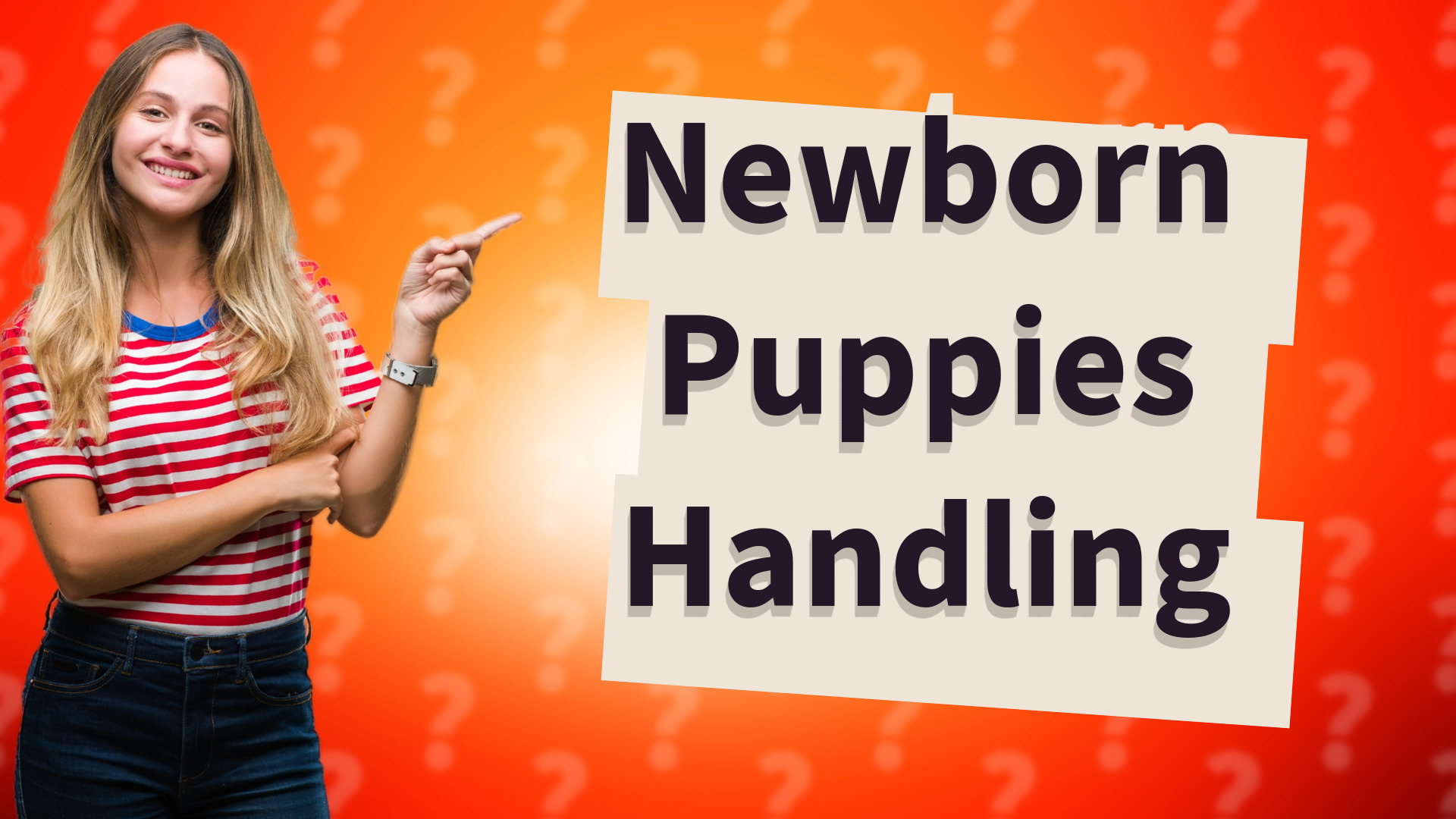 Newborn Puppies Handling