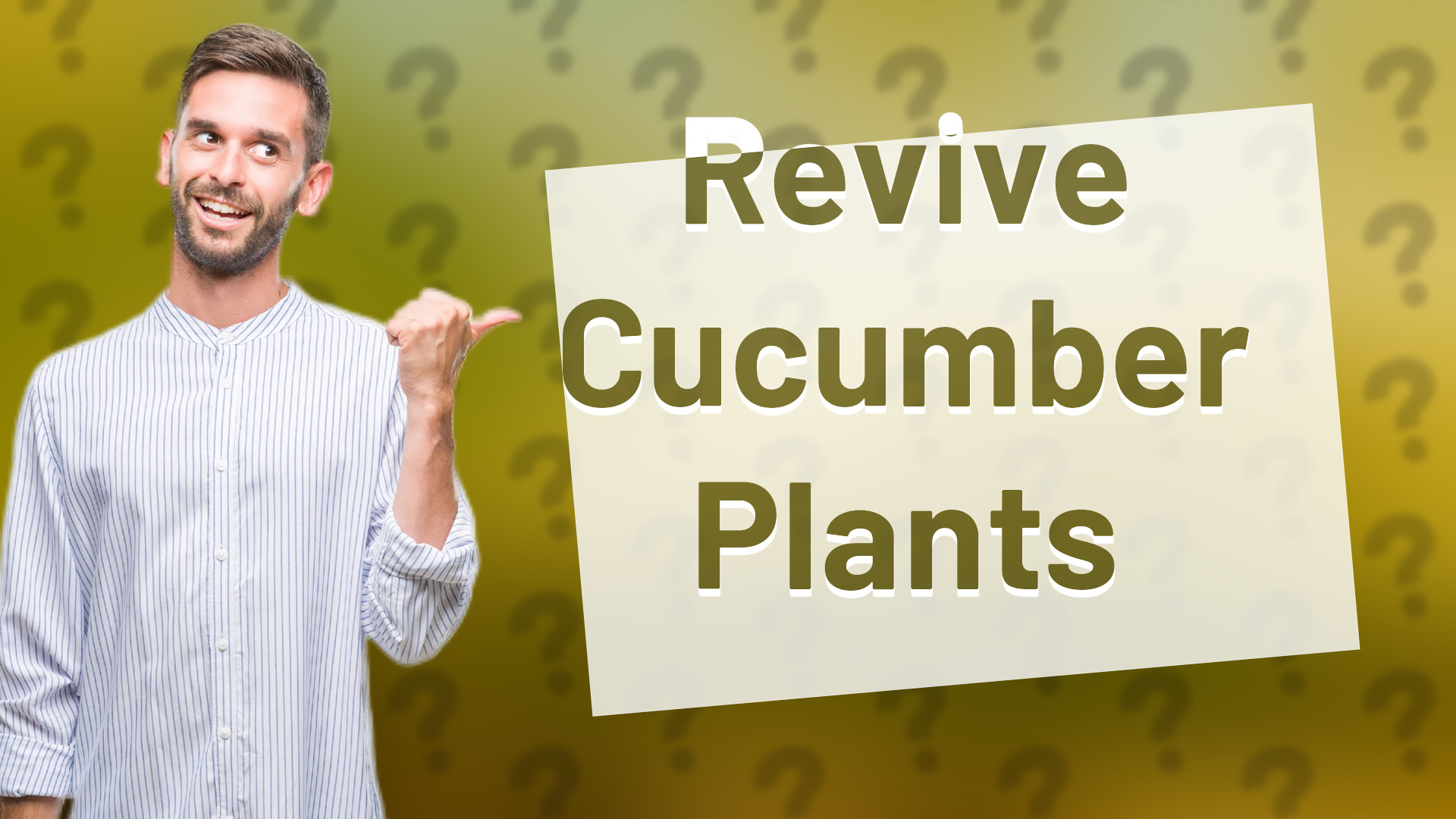 Revive Cucumber Plants
