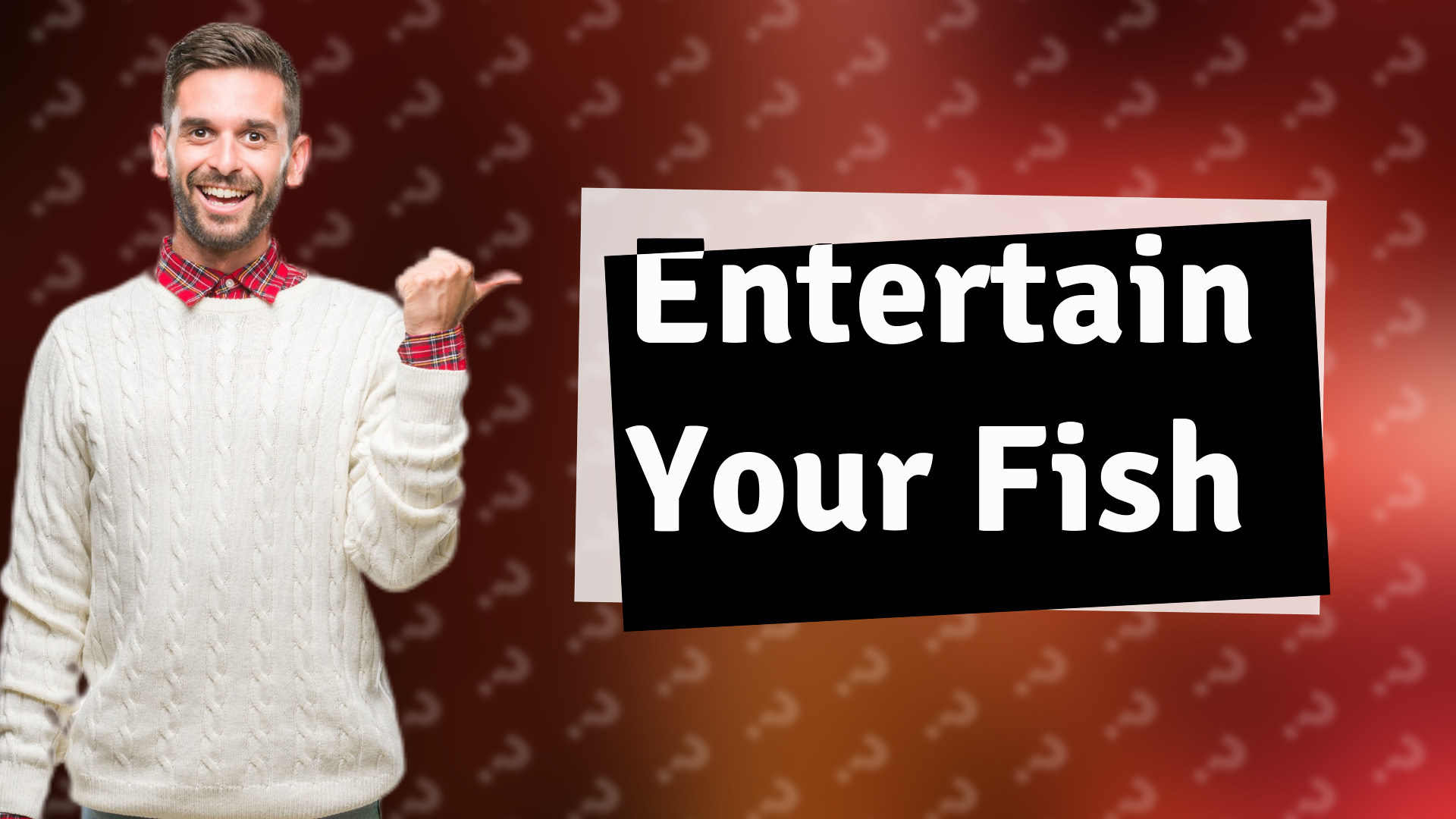 Entertain Your Fish
