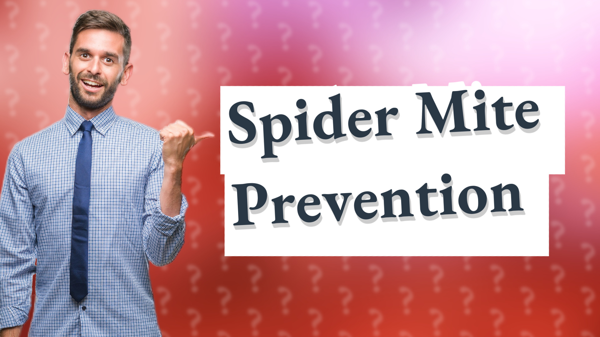 Spider Mite Prevention