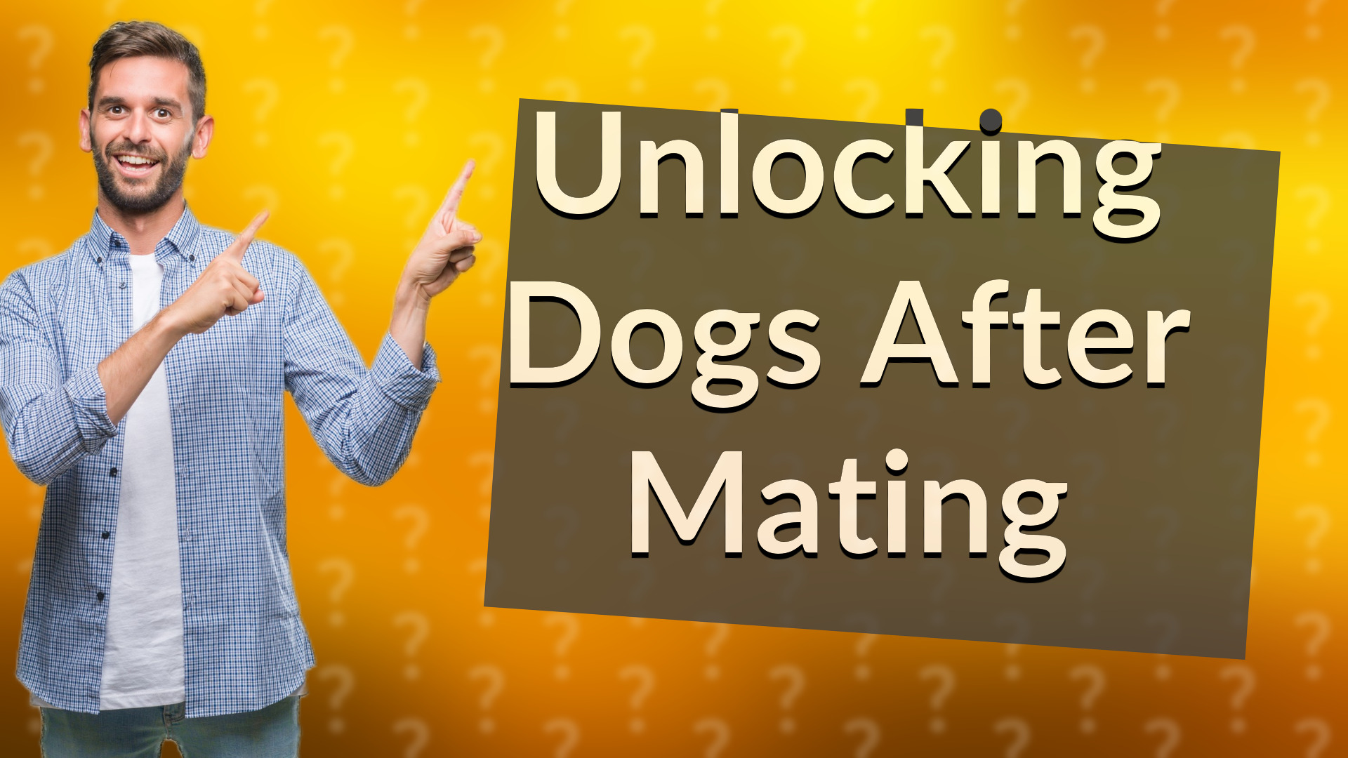 Unlocking Dogs After Mating