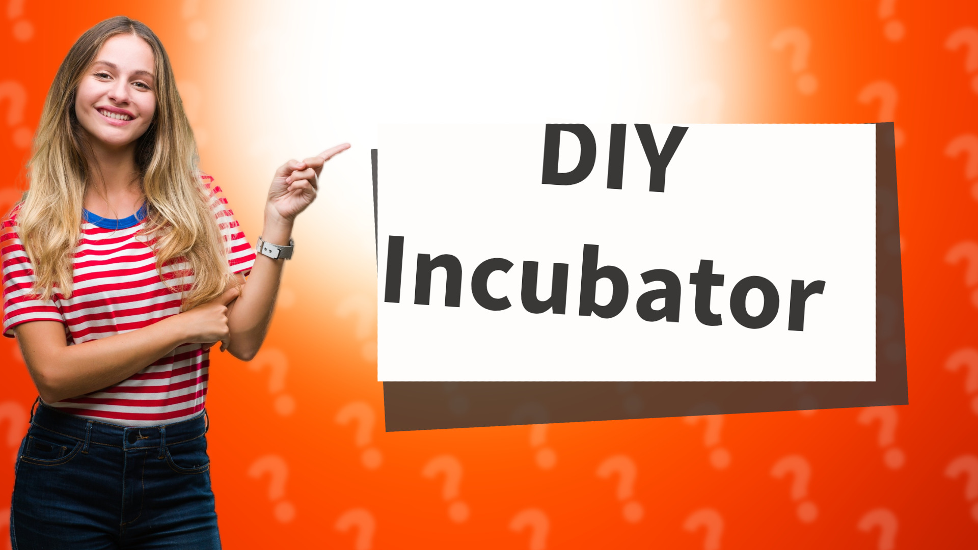 DIY Incubator