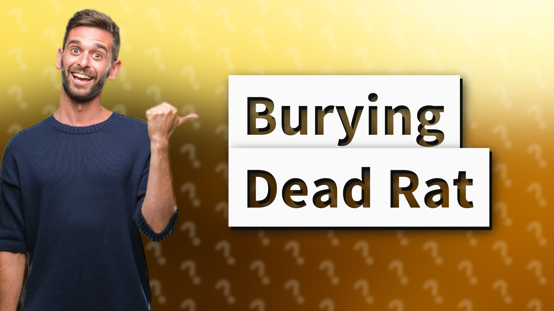 Burying Dead Rat